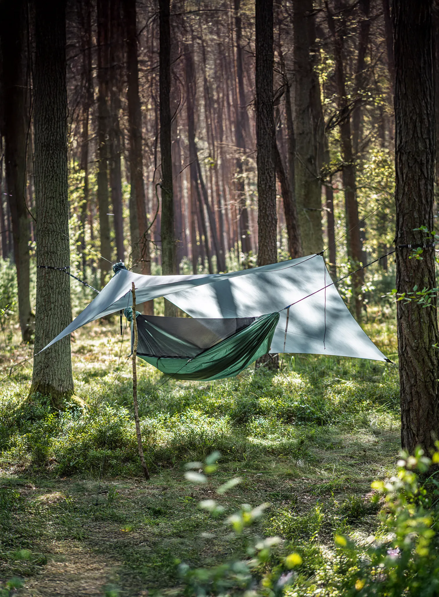 Viseča mreža Lesovik Draka - silver pine
