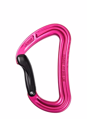 OcunRavenBent_pink_8591804655081a.jpg