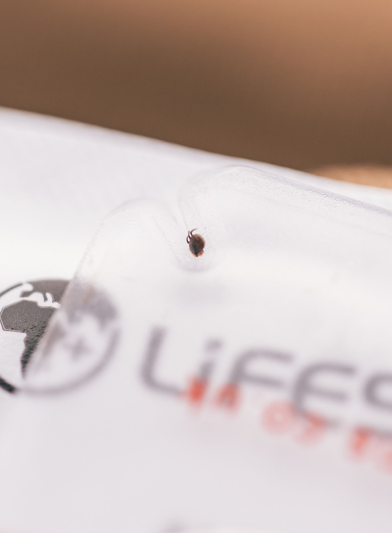 Pinceta za klope Lifesystems Tick Remover Card