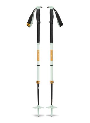 Smučarske palice Black Diamond Traverse Pro Ski Poles - foam green