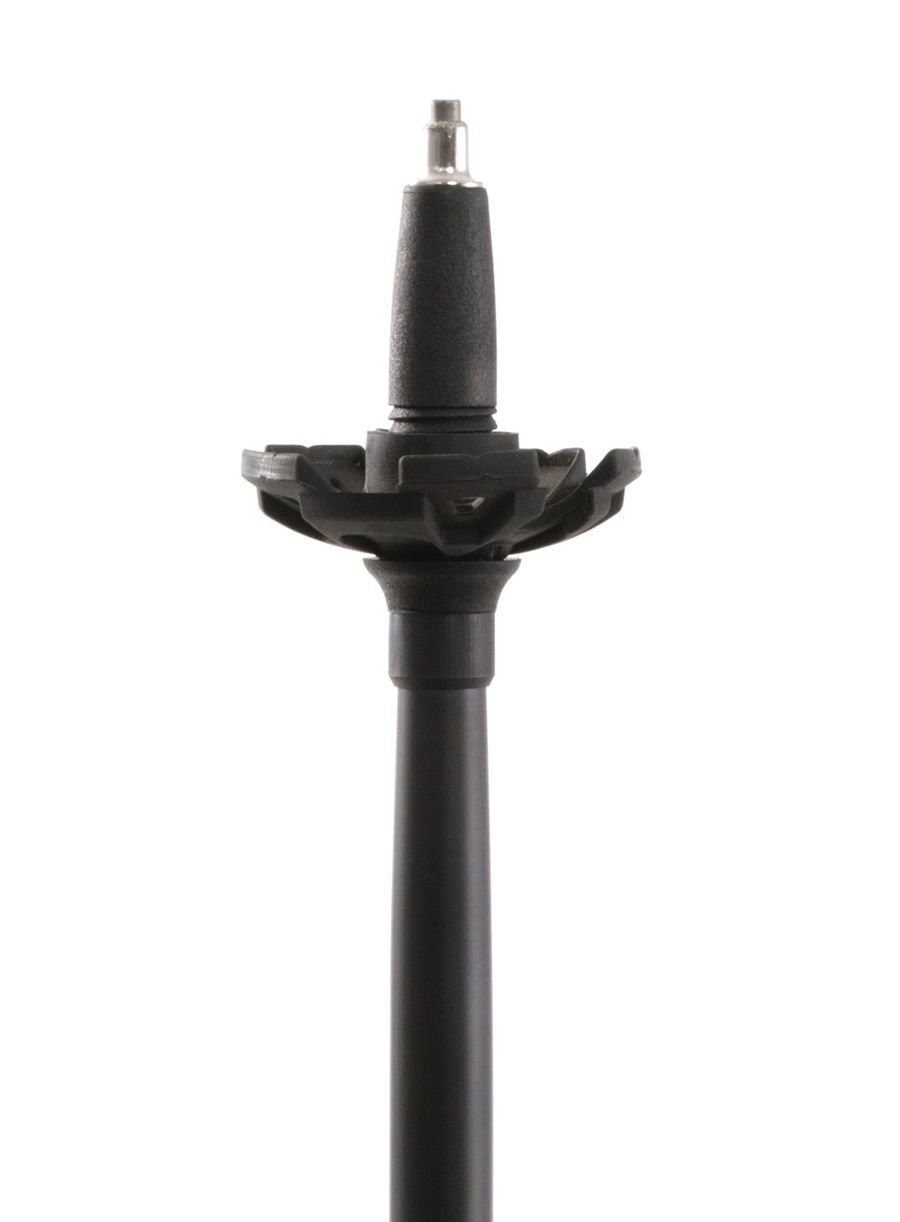 Pohodniške palice Robens Ambleside C66