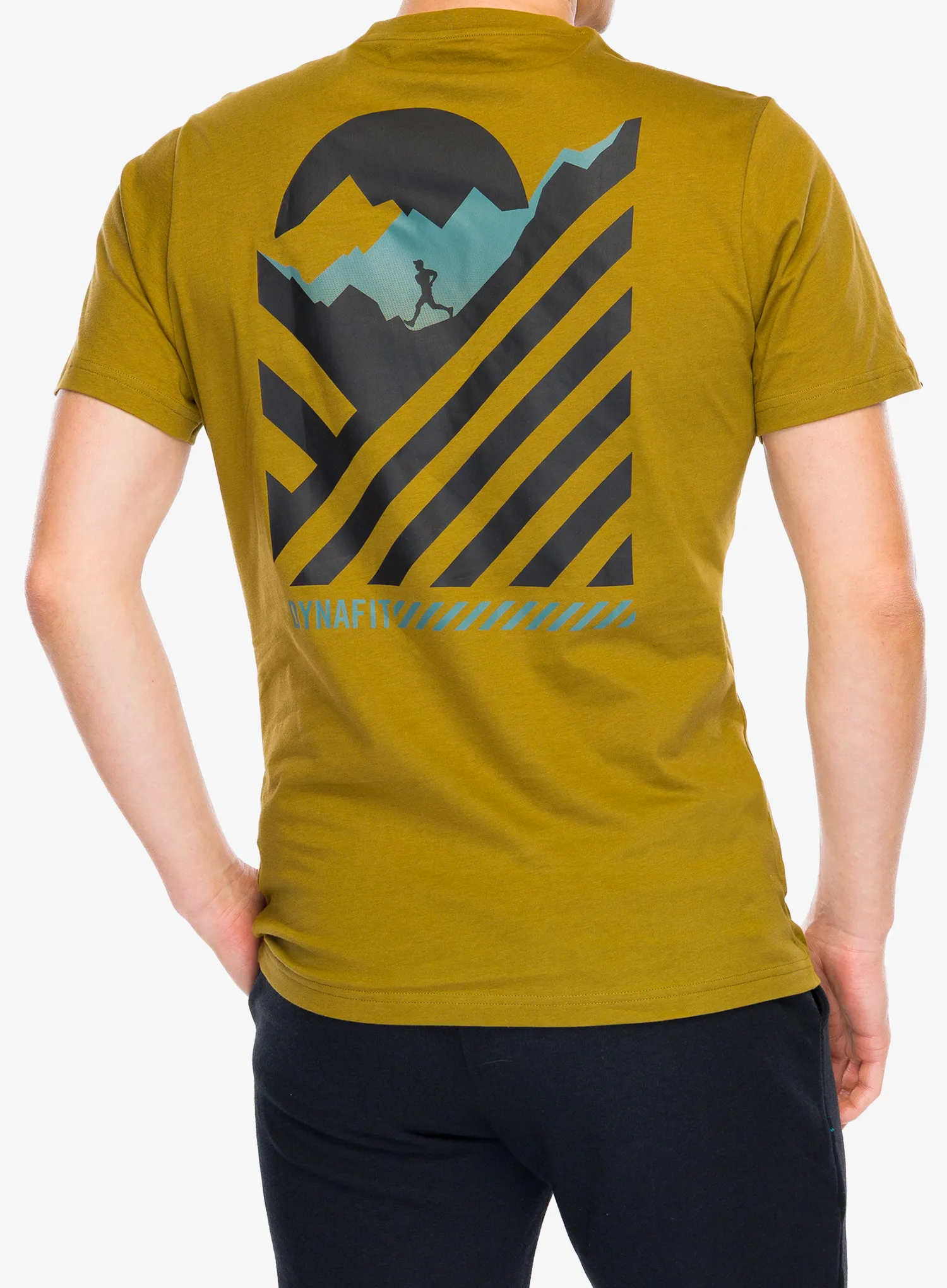 Bombažna majica Dynafit 24/7 Graphic T-Shirt - relic/striped elevation