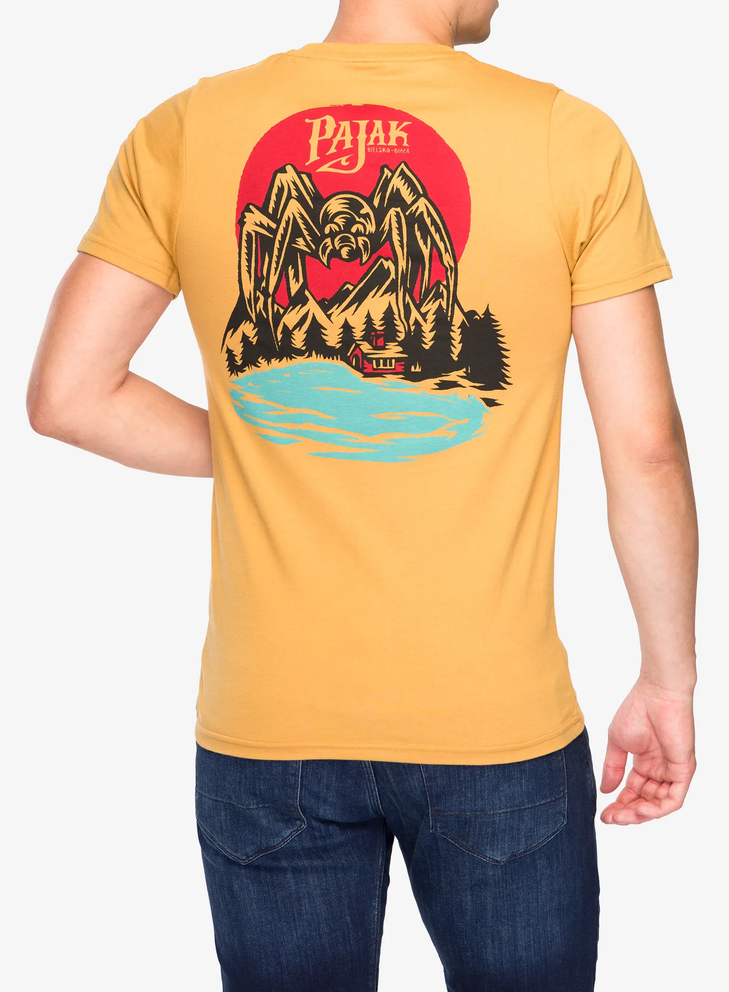 Bombažna majica Pajak x Swanski Spider T-Shirt - acorn