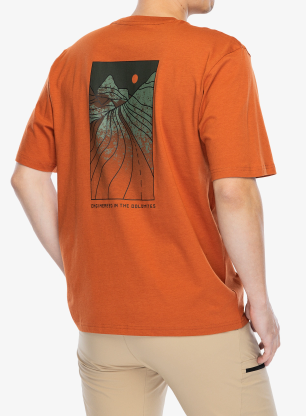 Bombažna majica Salewa Eagle Sunset Loose T-Shirt - bombay brown