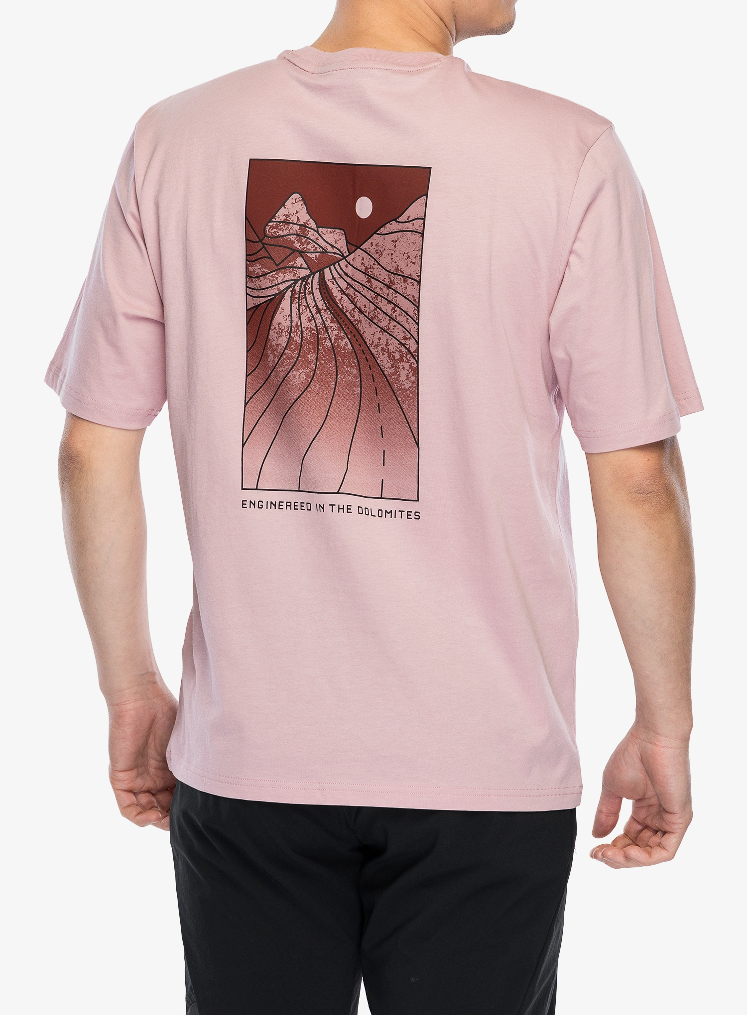 Bombažna majica Salewa Eagle Sunset Loose T-Shirt - zephyr