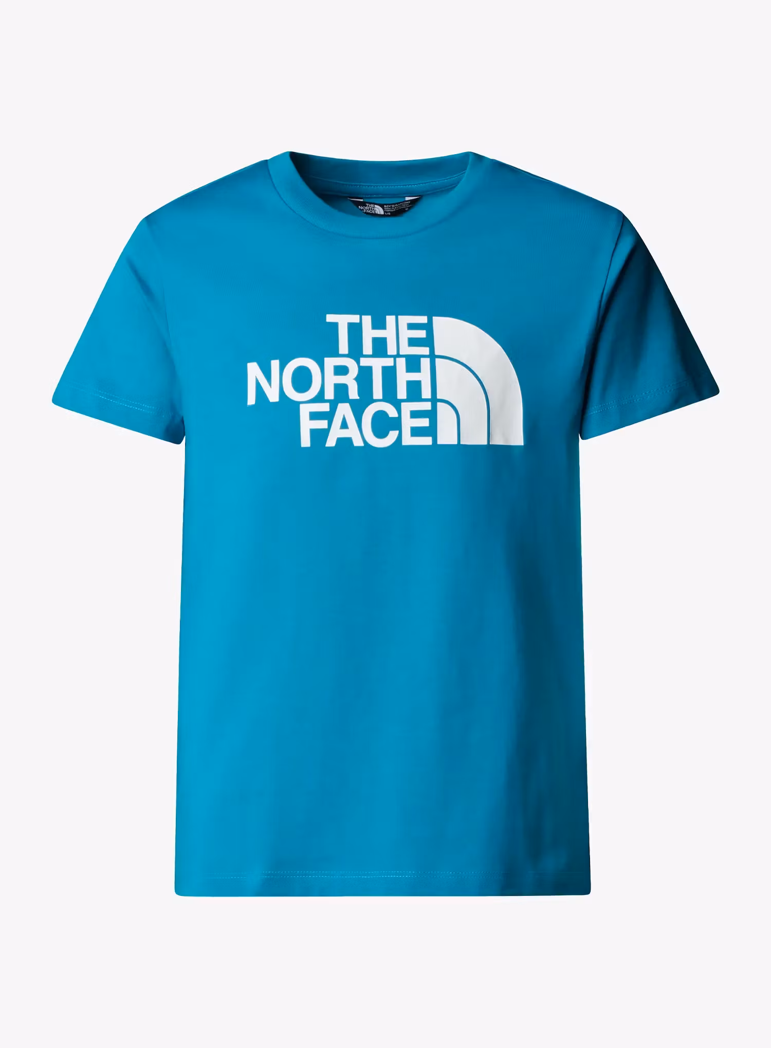 TheNorthFaceSSEasyTee_digitalsteel_197642751145a.webp