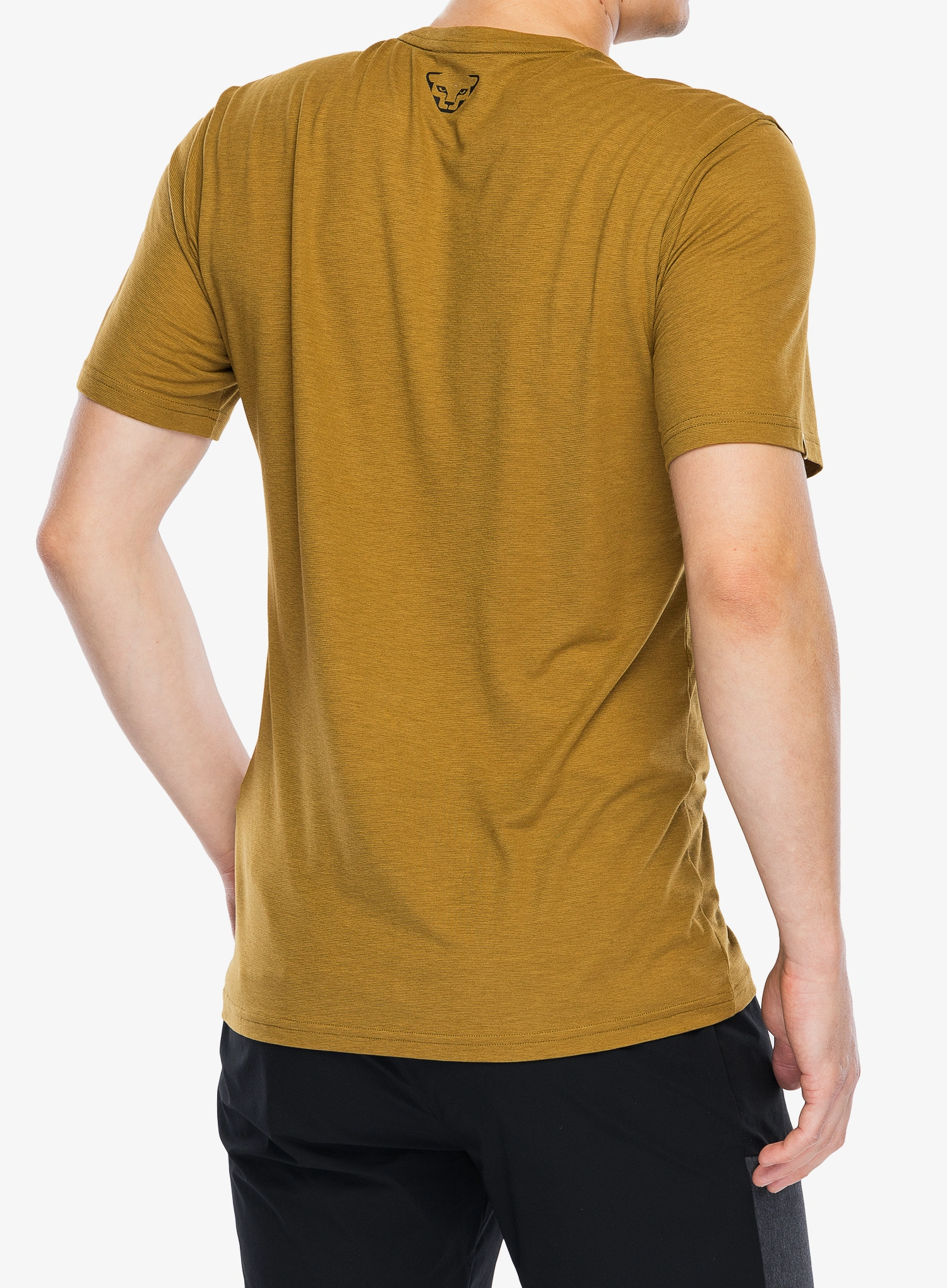 Športna majica Dynafit Transalper Graphic S/S Tee - relic/black out