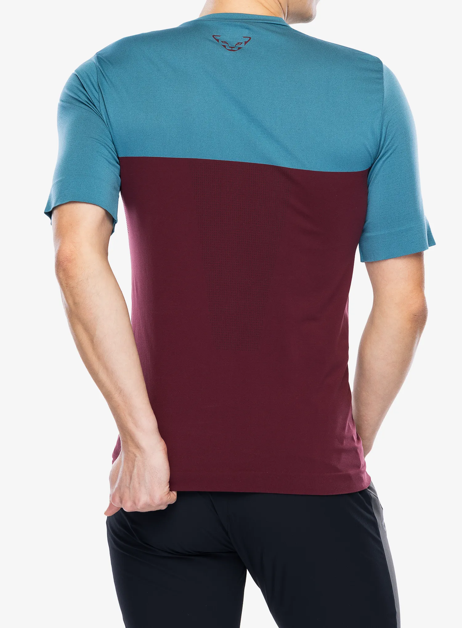 Športna majica Dynafit Traverse S-Tech S/S Tee - burgundy/storm blue