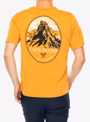 Športna majica Patagonia Cap Cool Daily Graphic Shirt Lands - chouinard crest/talon gold