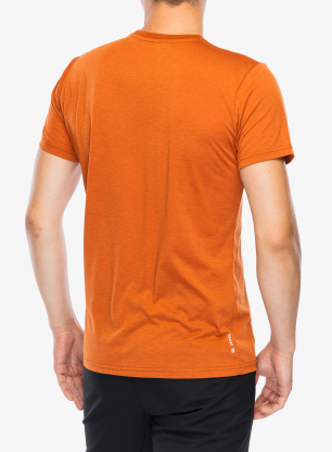 Športna majica Salewa Solidlogo Dry T-shirt - bombay brown