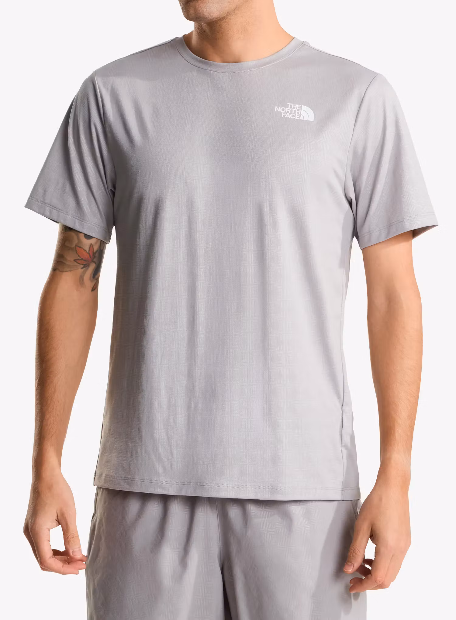 qweTheNorthFace247PentadomeEmbossedRegSSTeemeldgrey198266171593a.webp