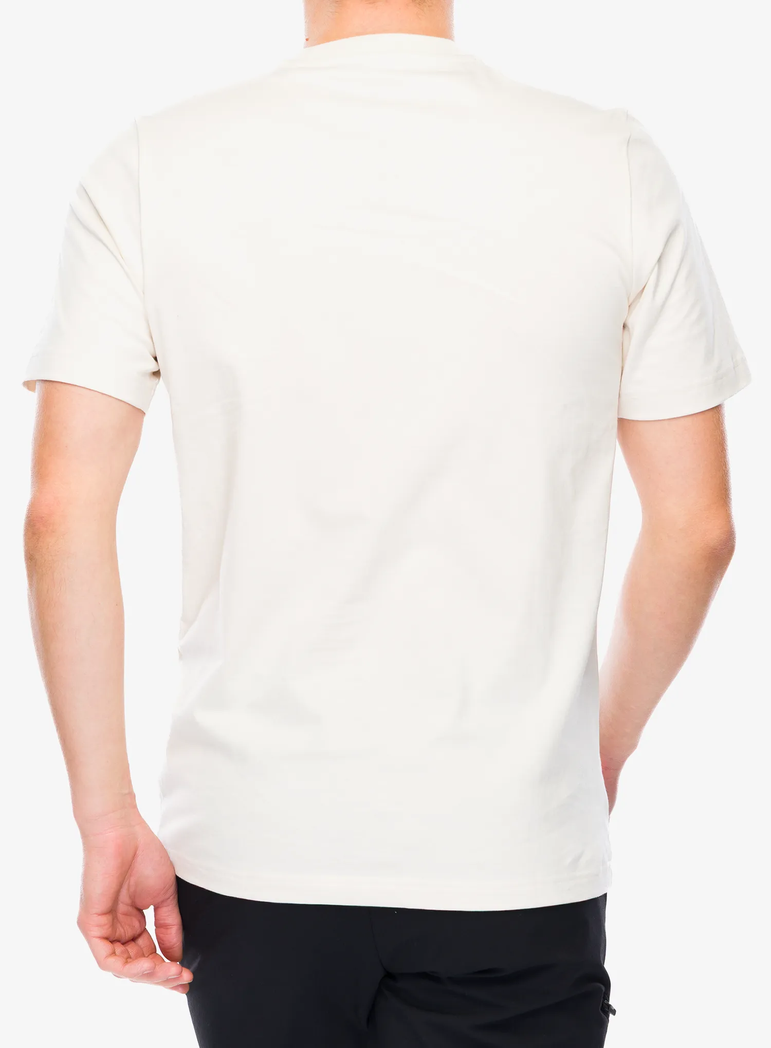 Majica s potiskom adidas TERREX Wild Tee - wonder white