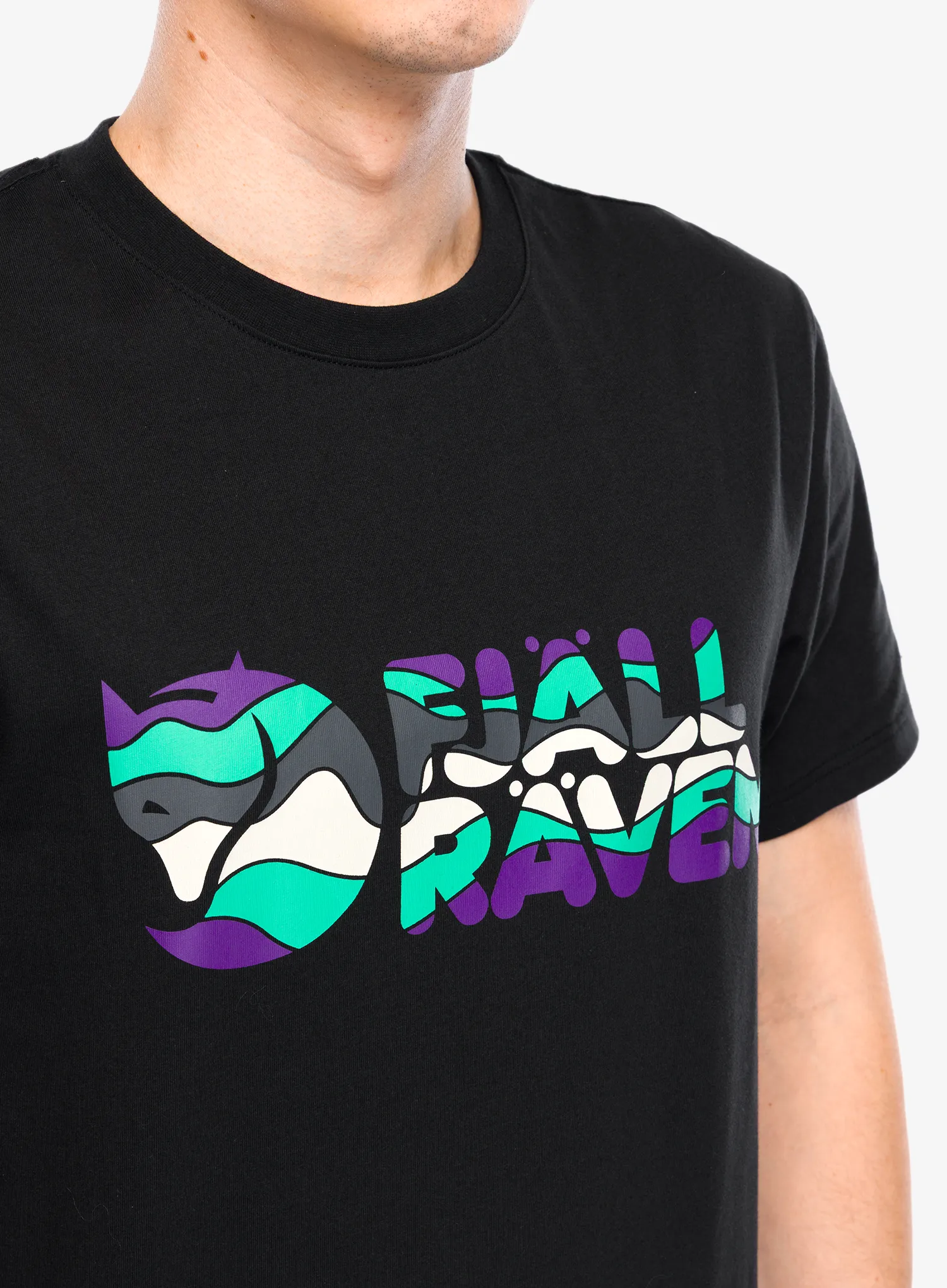 Majica s potiskom Fjallraven Multicolor Logo T-shirt - black