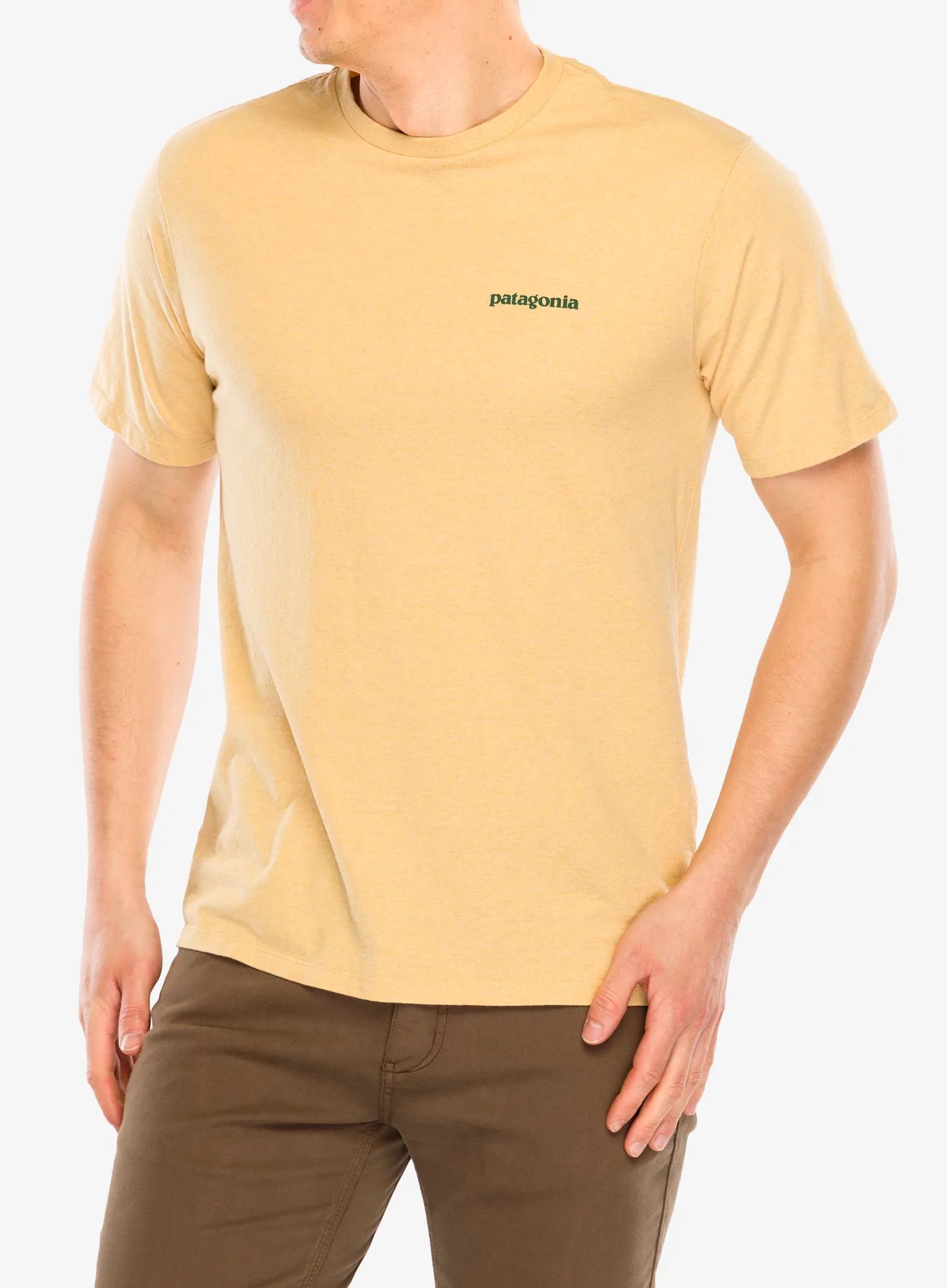 Majica s potiskom Patagonia Flying Fish Responsibili-Tee - flying fish/cliffs and coves