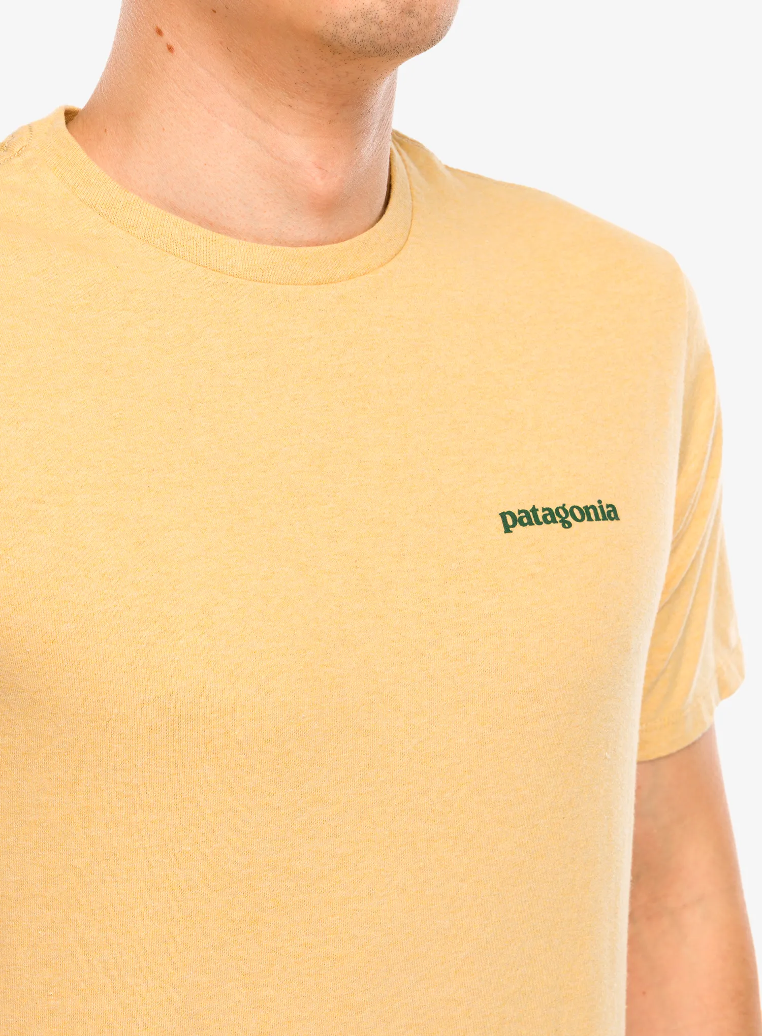 Majica s potiskom Patagonia Flying Fish Responsibili-Tee - flying fish/cliffs and coves