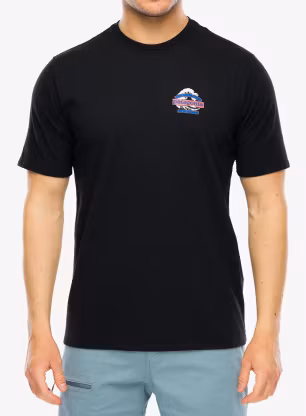 PatagoniaGreatWavesResponsibili_Teeblack198077792543a.webp