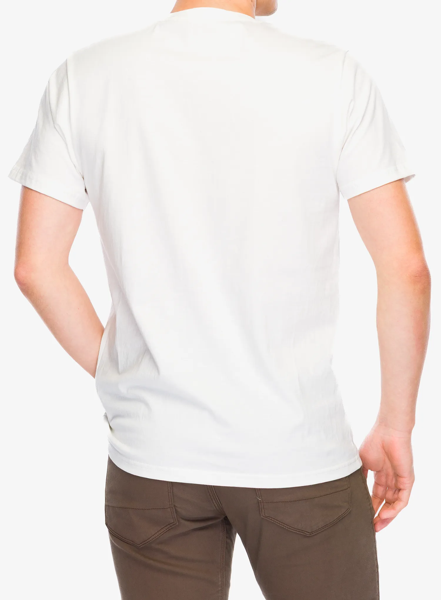Majica s potiskom Stance Botanica Tee - canvas