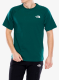TheNorthFaceSSNorthFacesTee_deepnori_197642757420a.webp