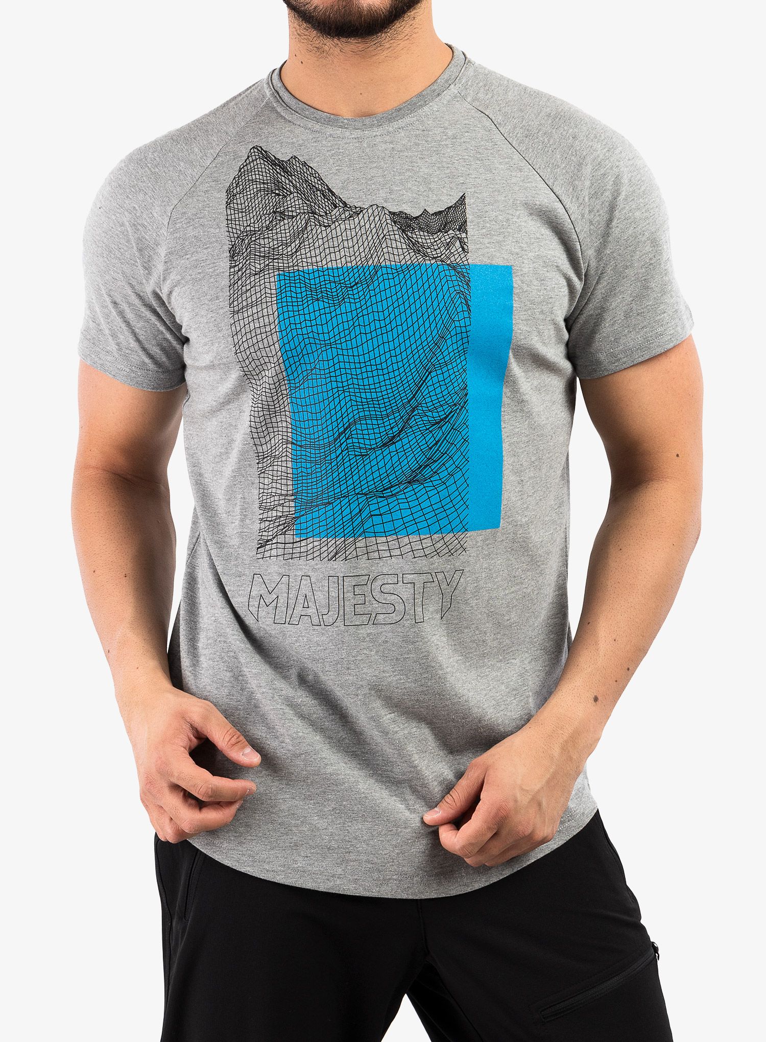 Bombažna majica Majesty Super T-shirt - grey