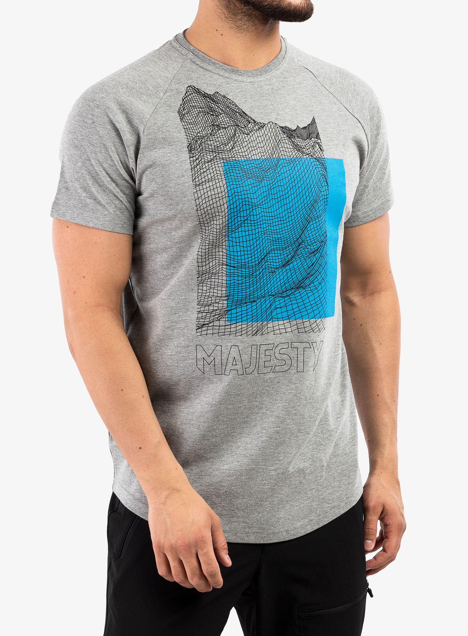 Bombažna majica Majesty Super T-shirt - grey