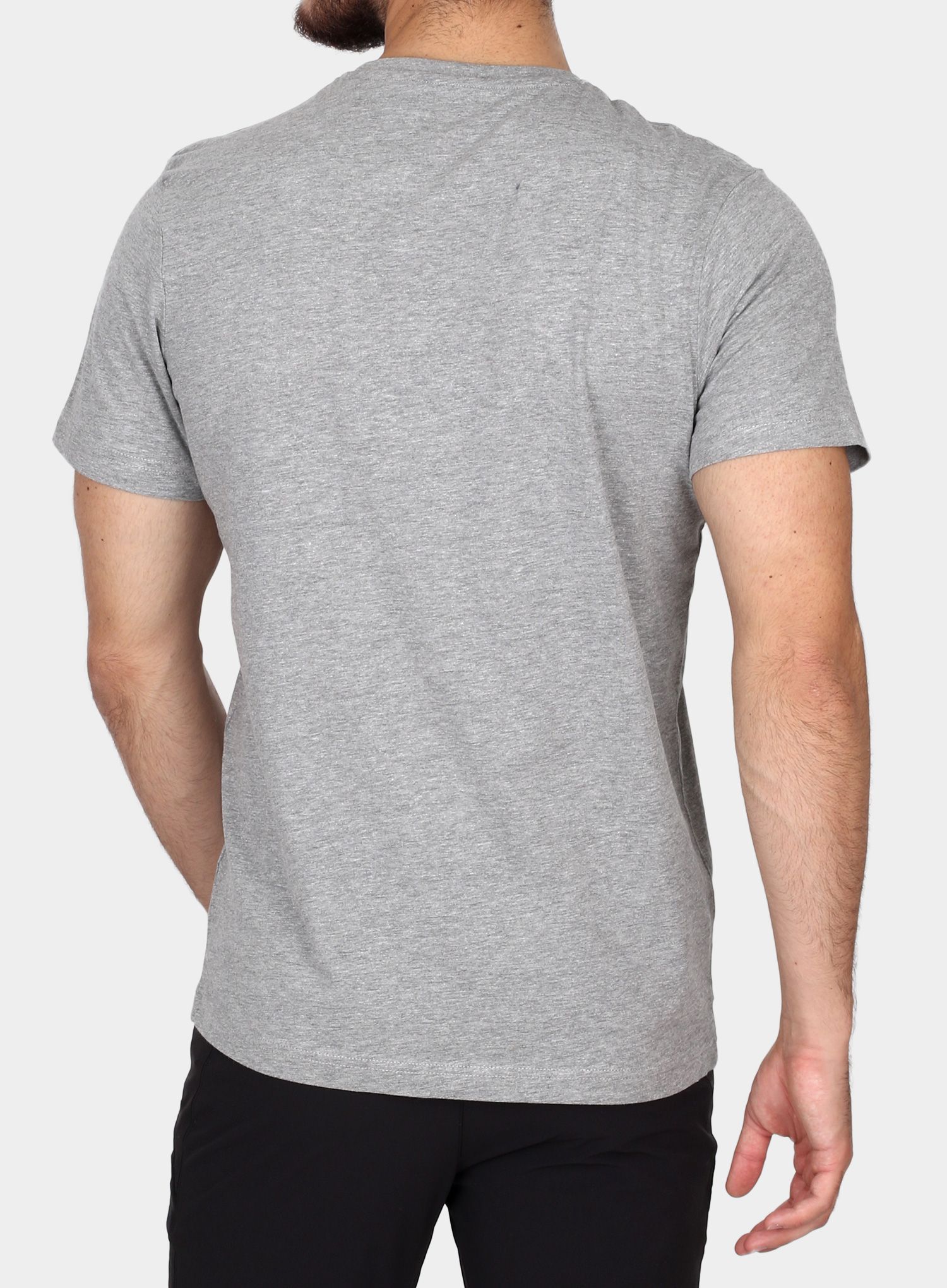 Majica s potiskom Rab Stance 3 Peaks S/S Tee - grey marl