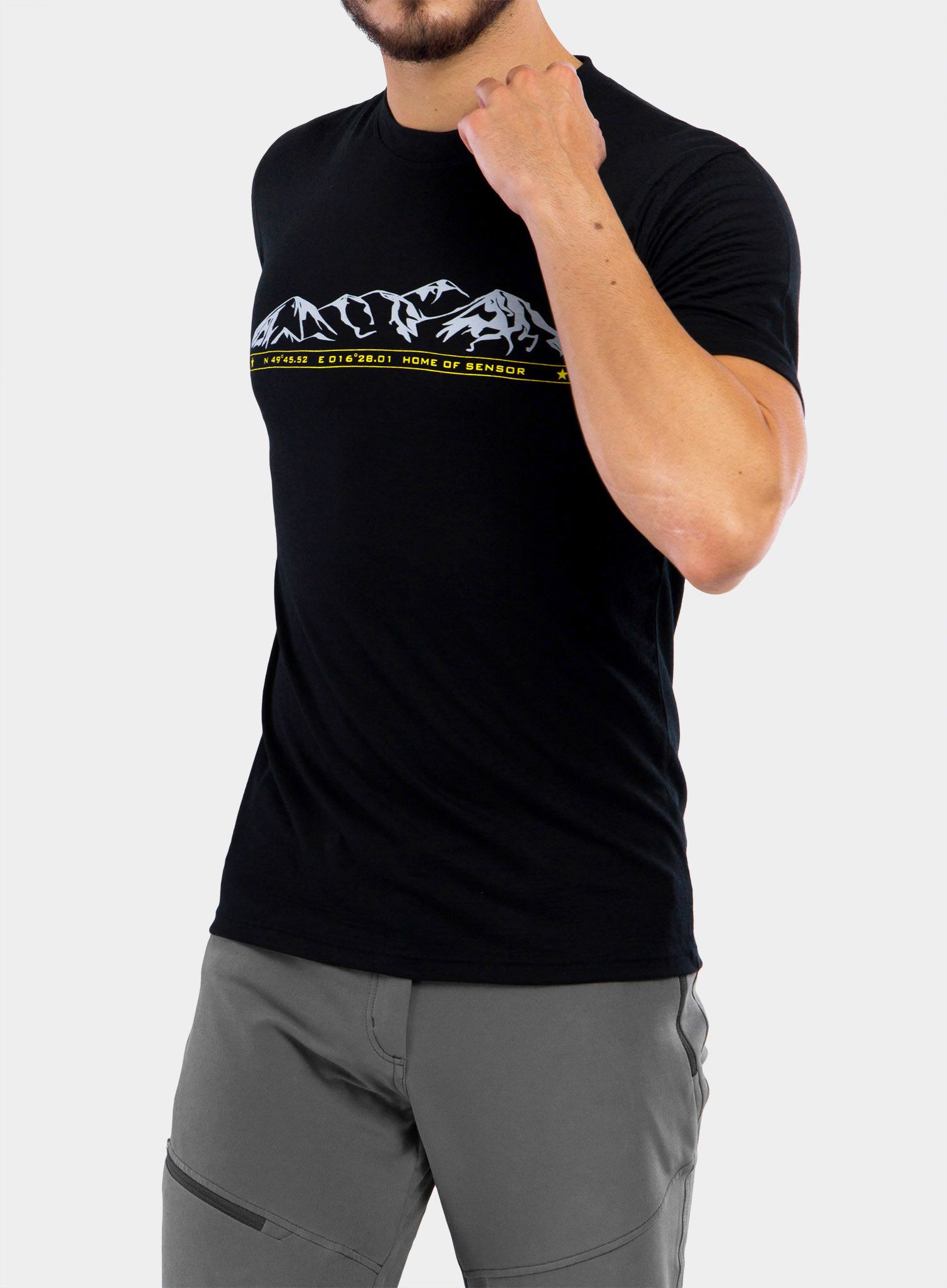 Moška majica Sensor Merino Active PT Tee S/S - black mountains