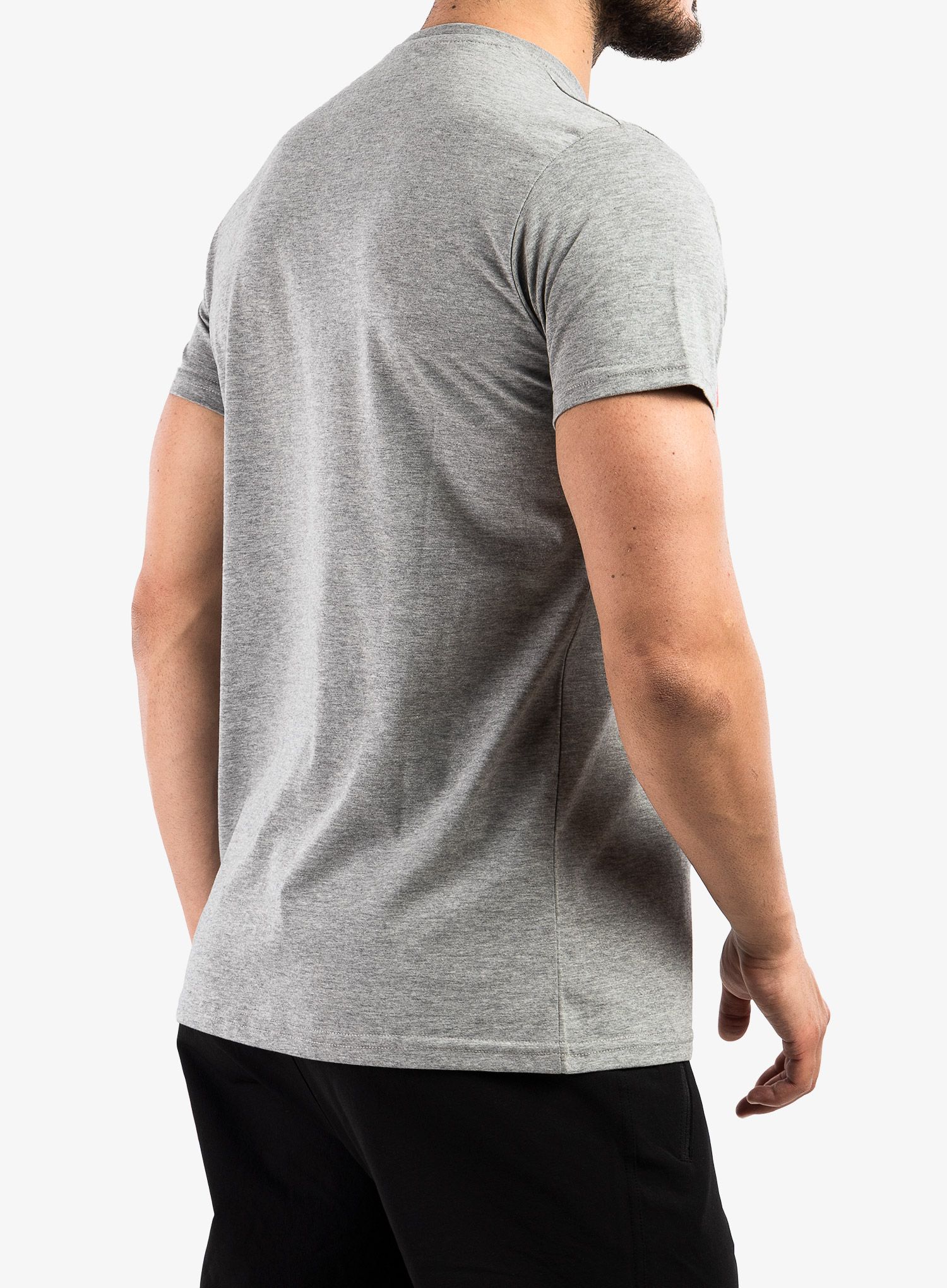 Majica s potiskom Majesty Logo T-shirt - grey