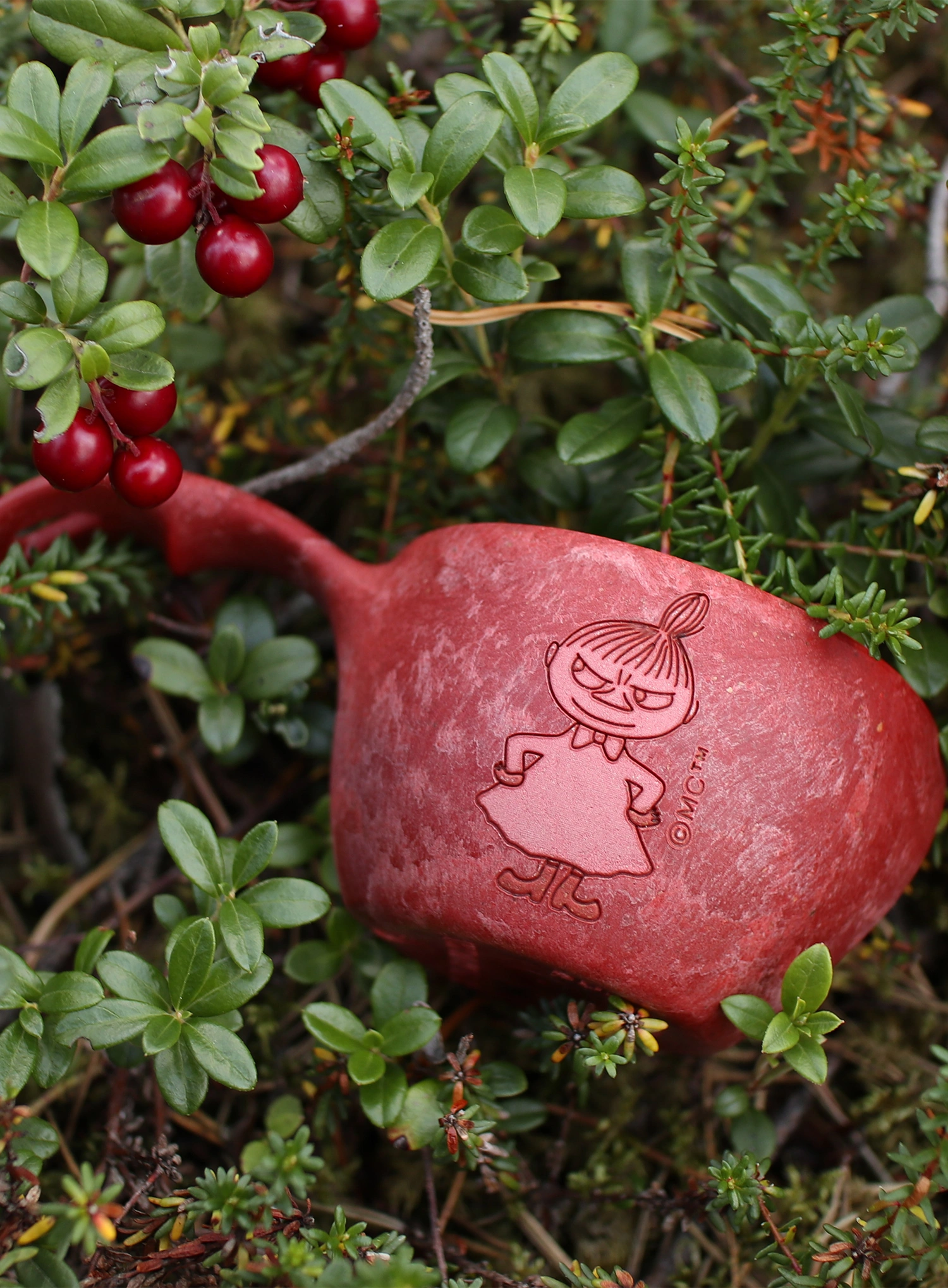 Lonček Kupilka 12 Moomin Little My (0,12 l) - red