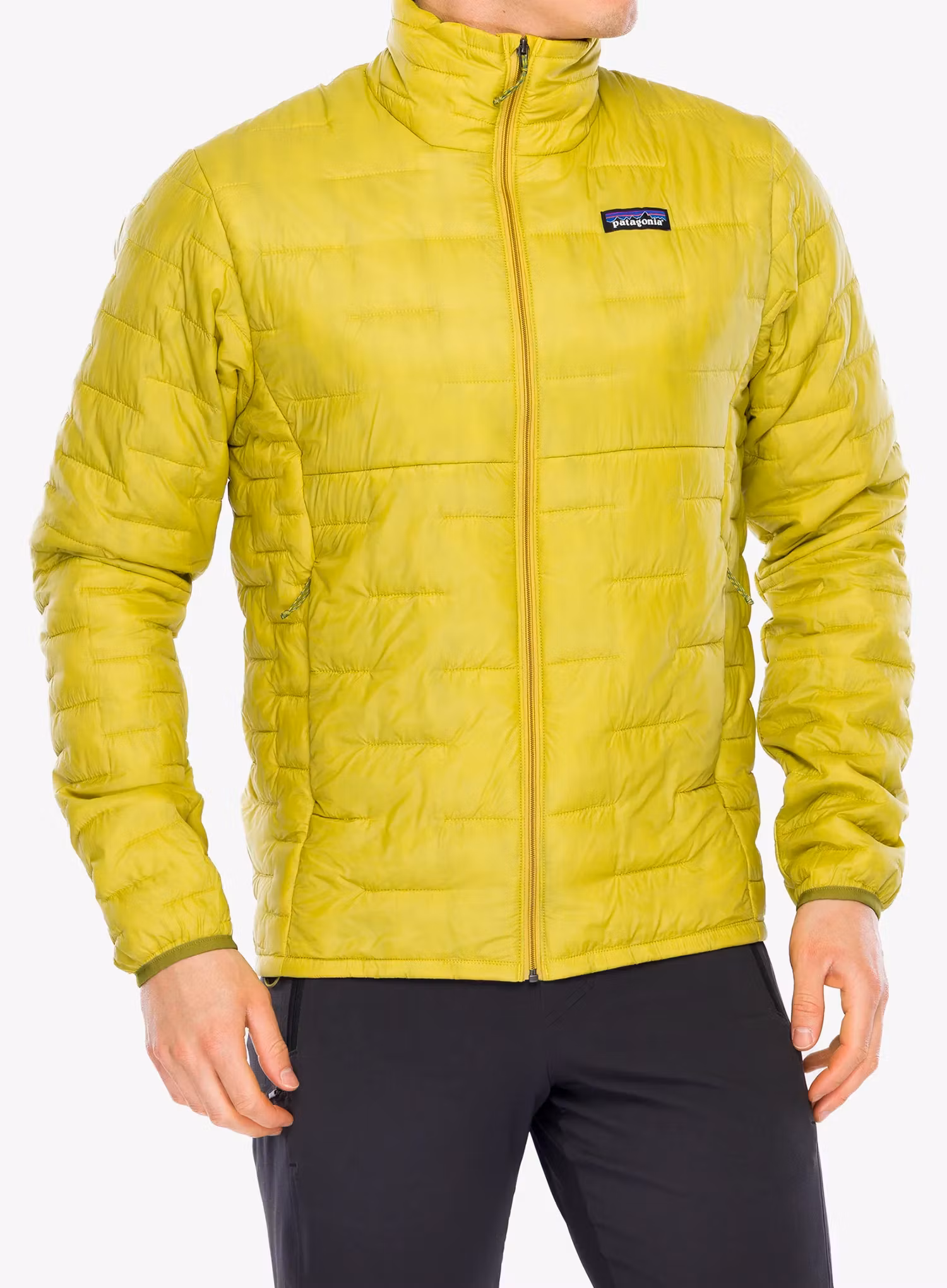 PatagoniaMicroPuffJacketgreen198077041443a.webp