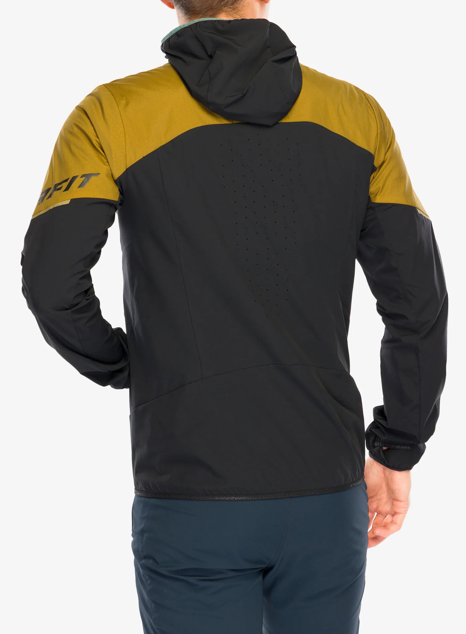 Flis Dynafit Traverse Alpha Hooded JKT - relic/black out