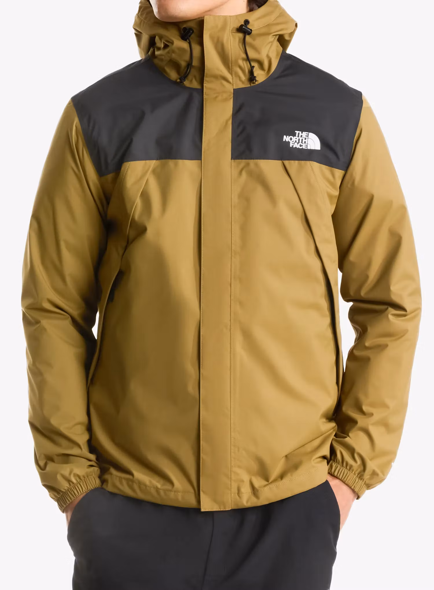 qweTheNorthFaceAlpinePolartec200FzJacketcedartnfblack198266157115a.webp