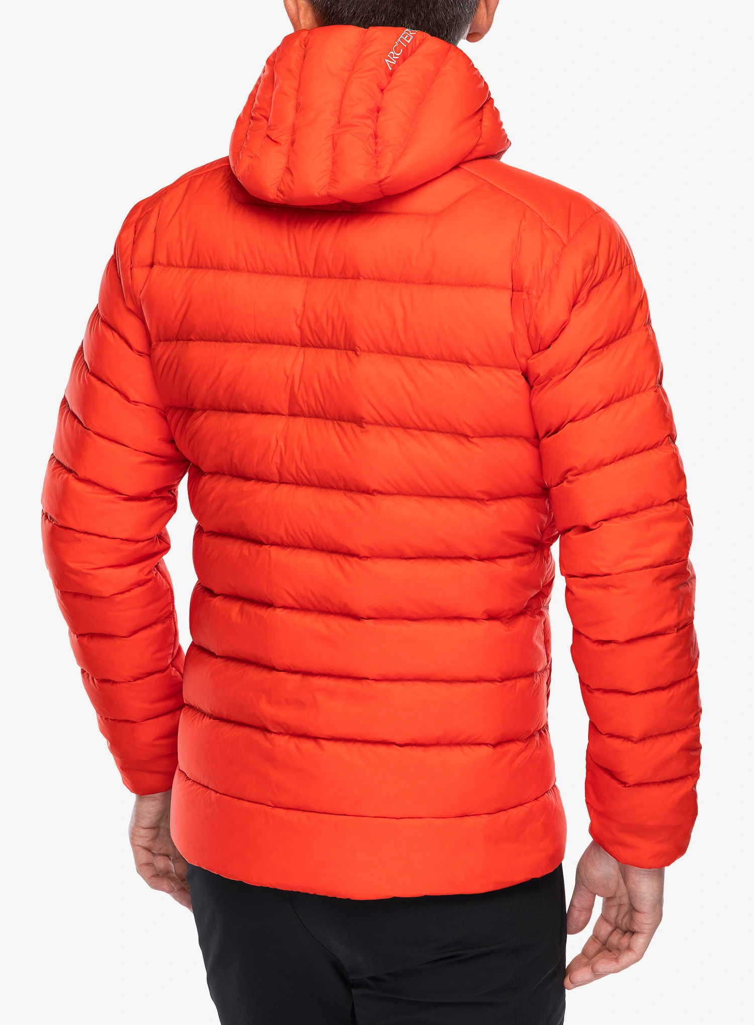 Puhovka Artceryx Cerium Hoody - dynasty