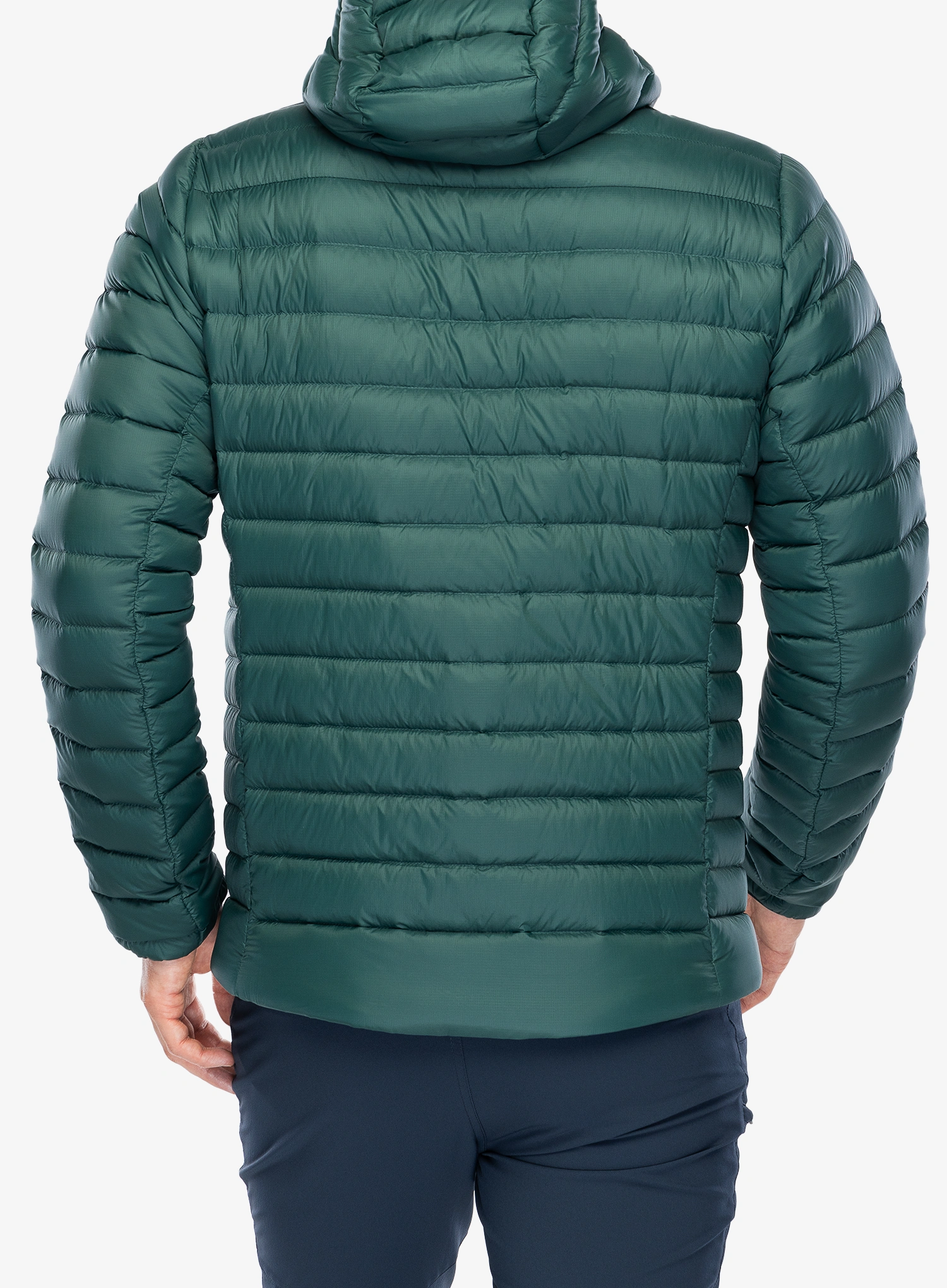 Puhovka Patagonia Down Sweater Hoody - cascade green/green