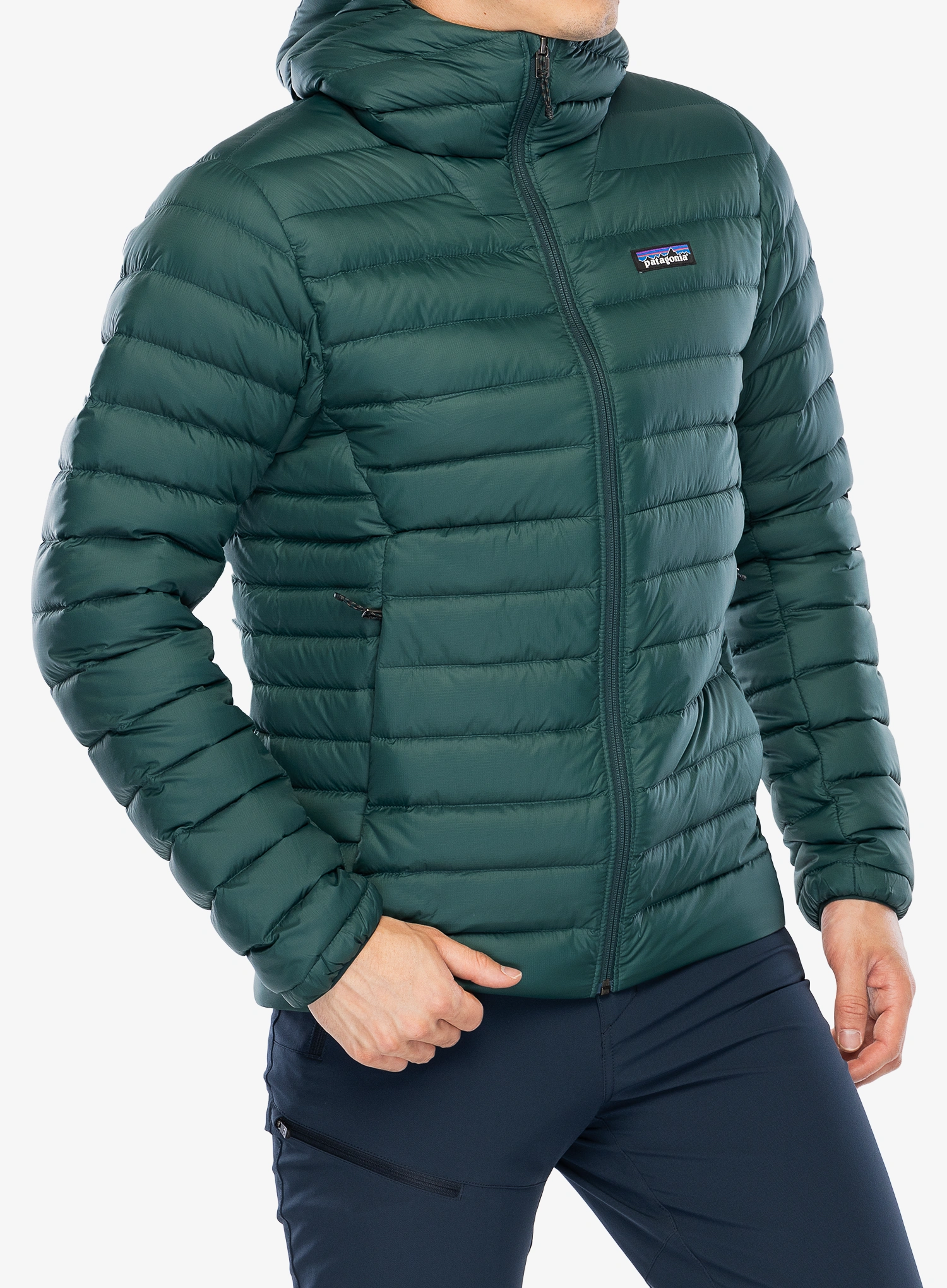 Puhovka Patagonia Down Sweater Hoody - cascade green/green
