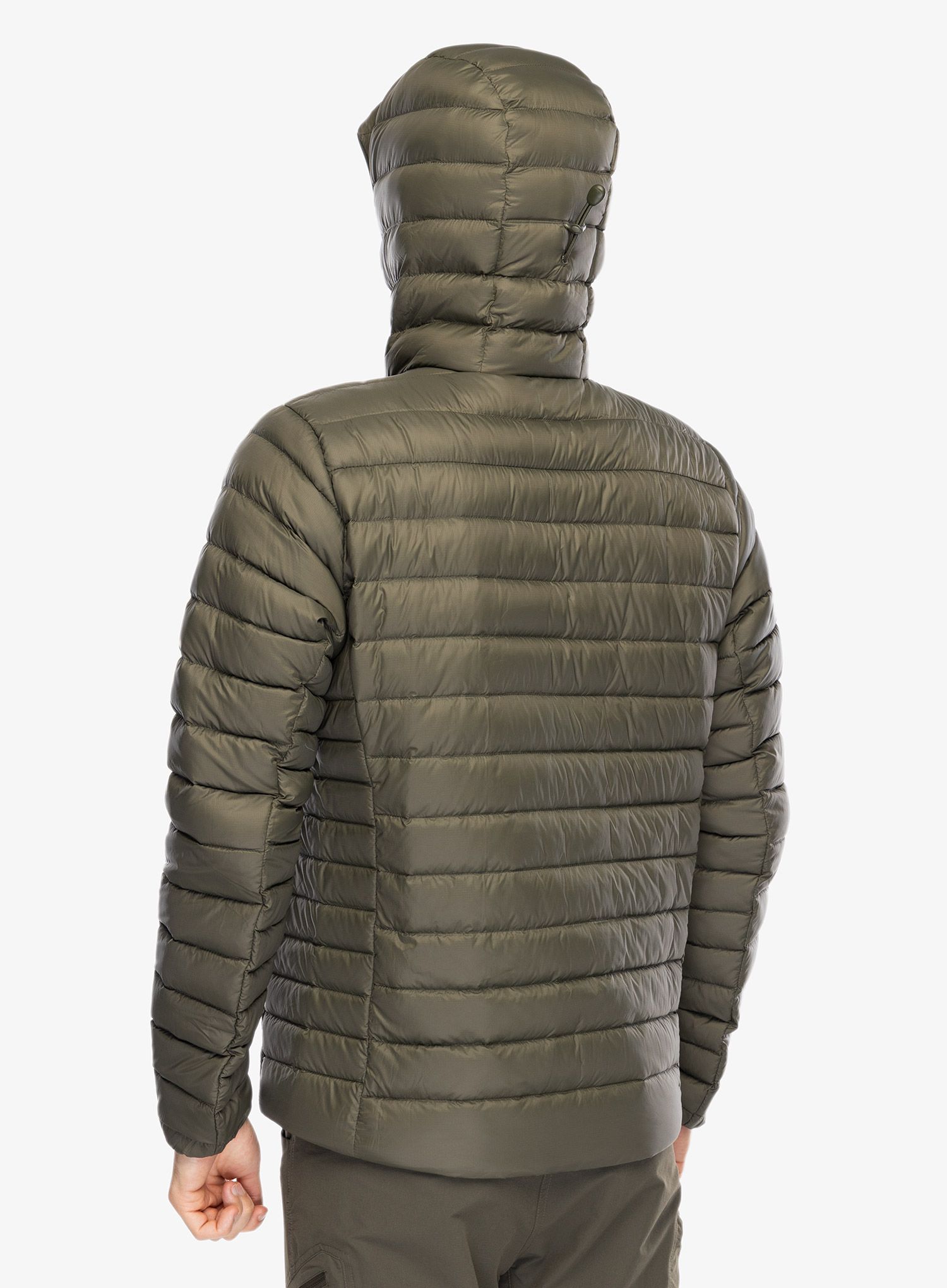 Puhovka Patagonia Down Sweater Hoody - pine needle green