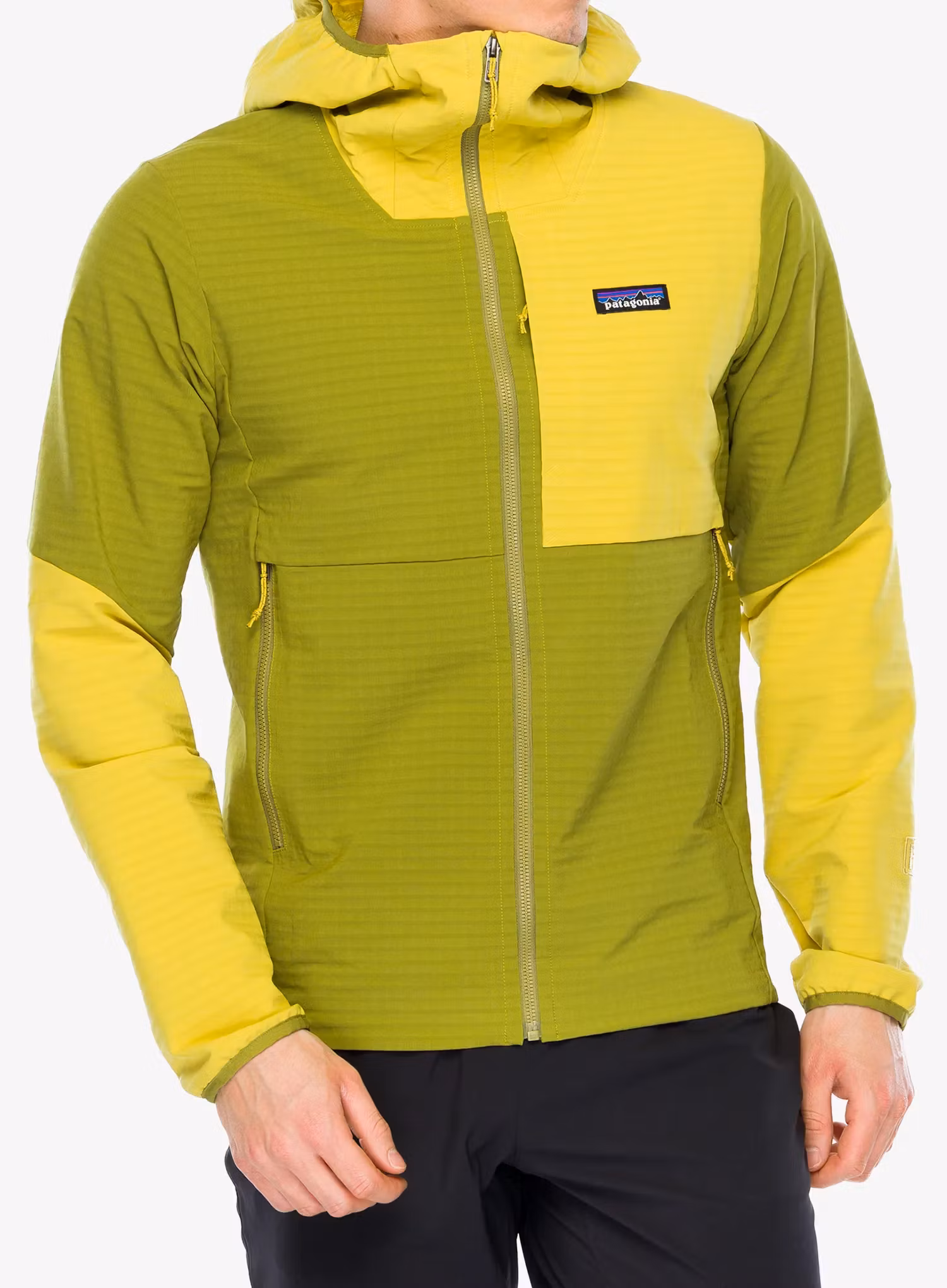 PatagoniaR1TechFaceHoody_grazegreen_196924798397a.webp