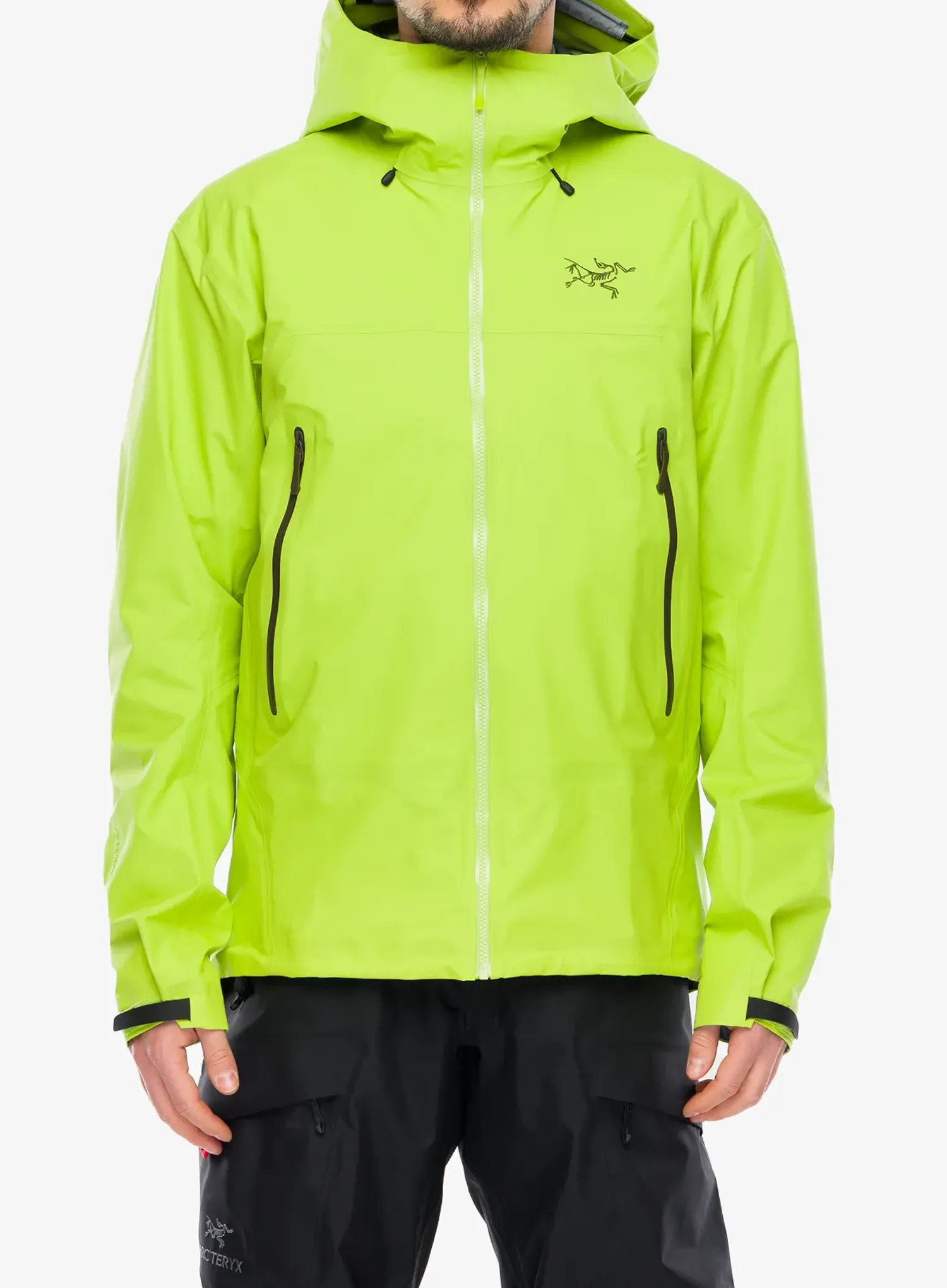 ArcteryxBetaSLJacketmantistatsu623555859116a.webp
