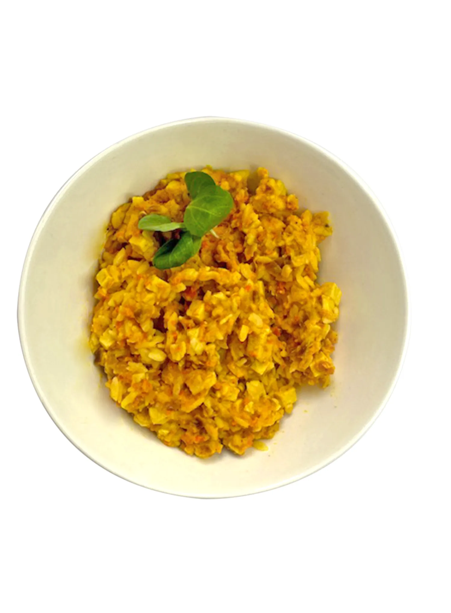 Liofilizat This-1 Piščanec v curry omaki z rižem 550 g