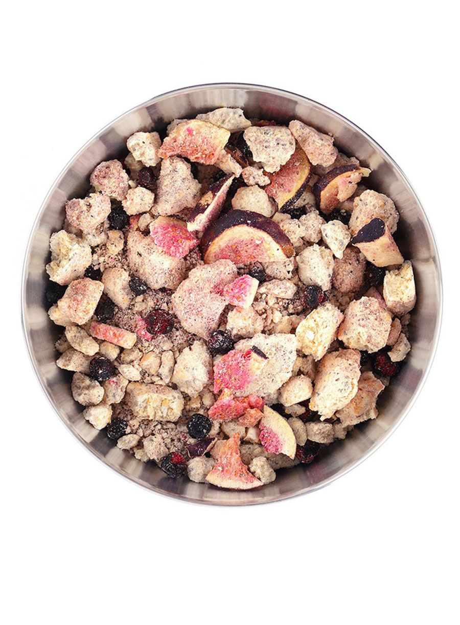 Dehidrirana hrana LYOFOOD Kokosova ovsena kaša z borovnicami, figami in chia semeni 300 g