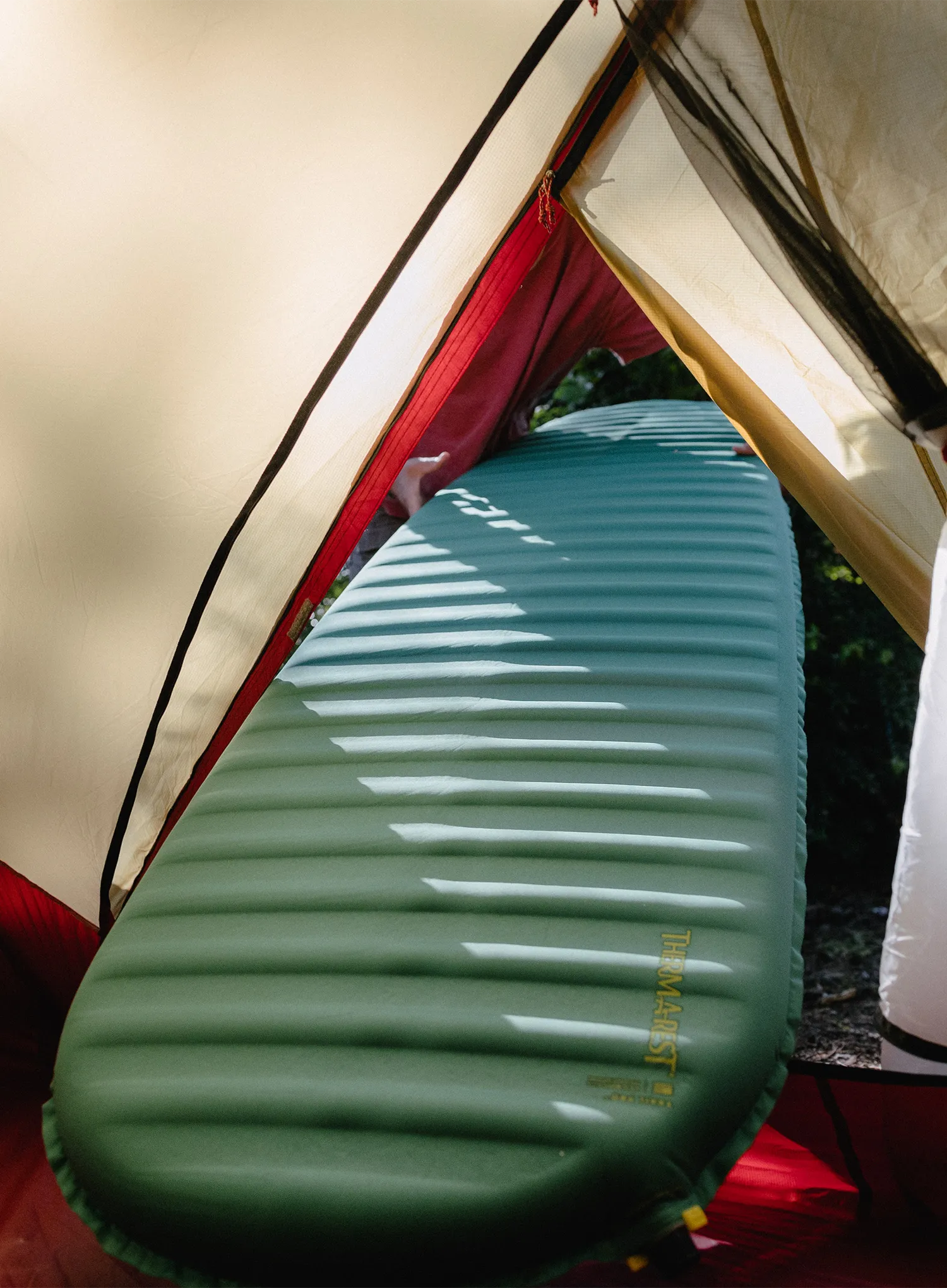 Samonapihljiva blazina Therm a Rest Trail Pro L - pine