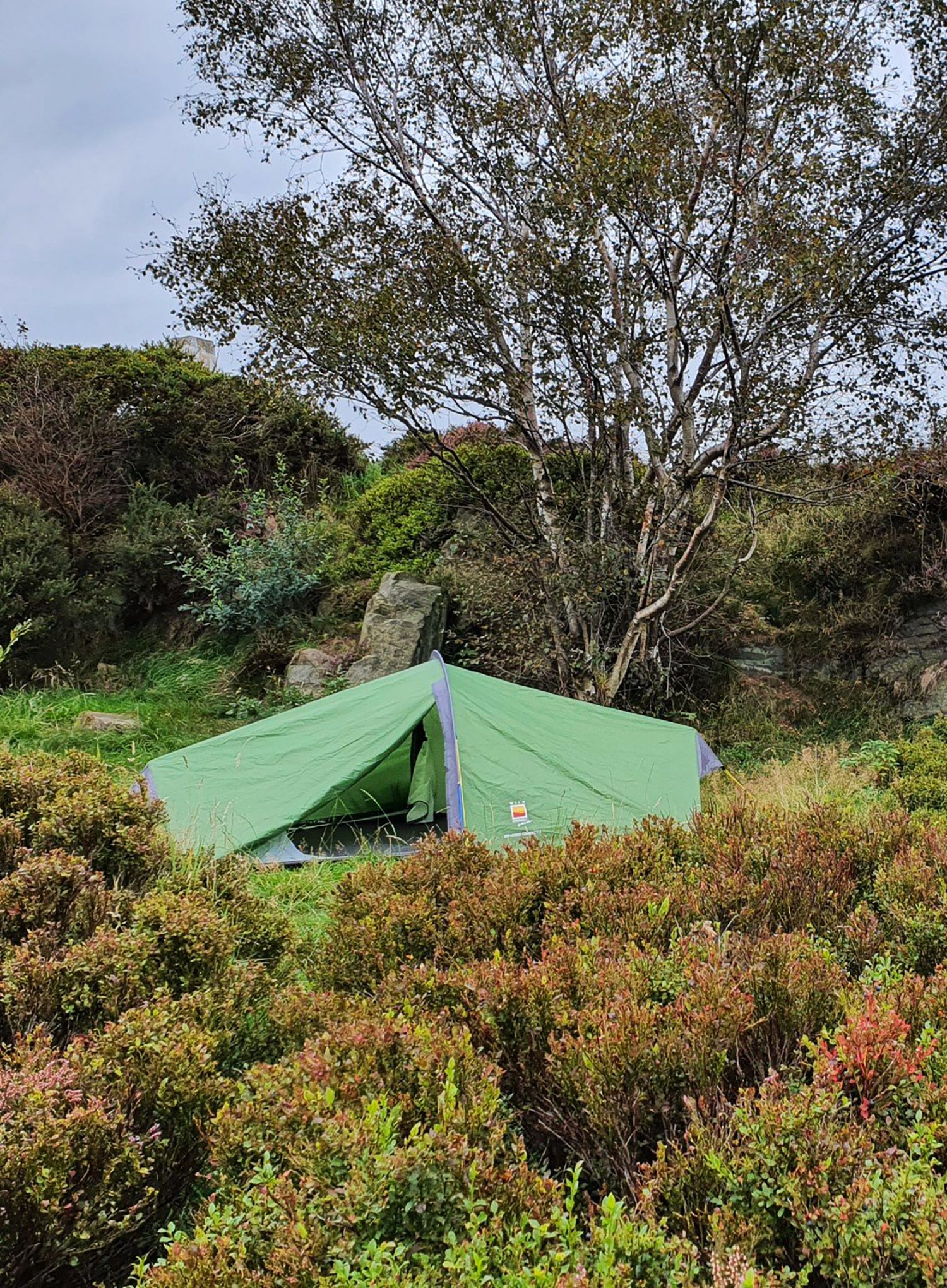 Šotor za dve osebi Terra Nova Zephyros Compac - cactus green