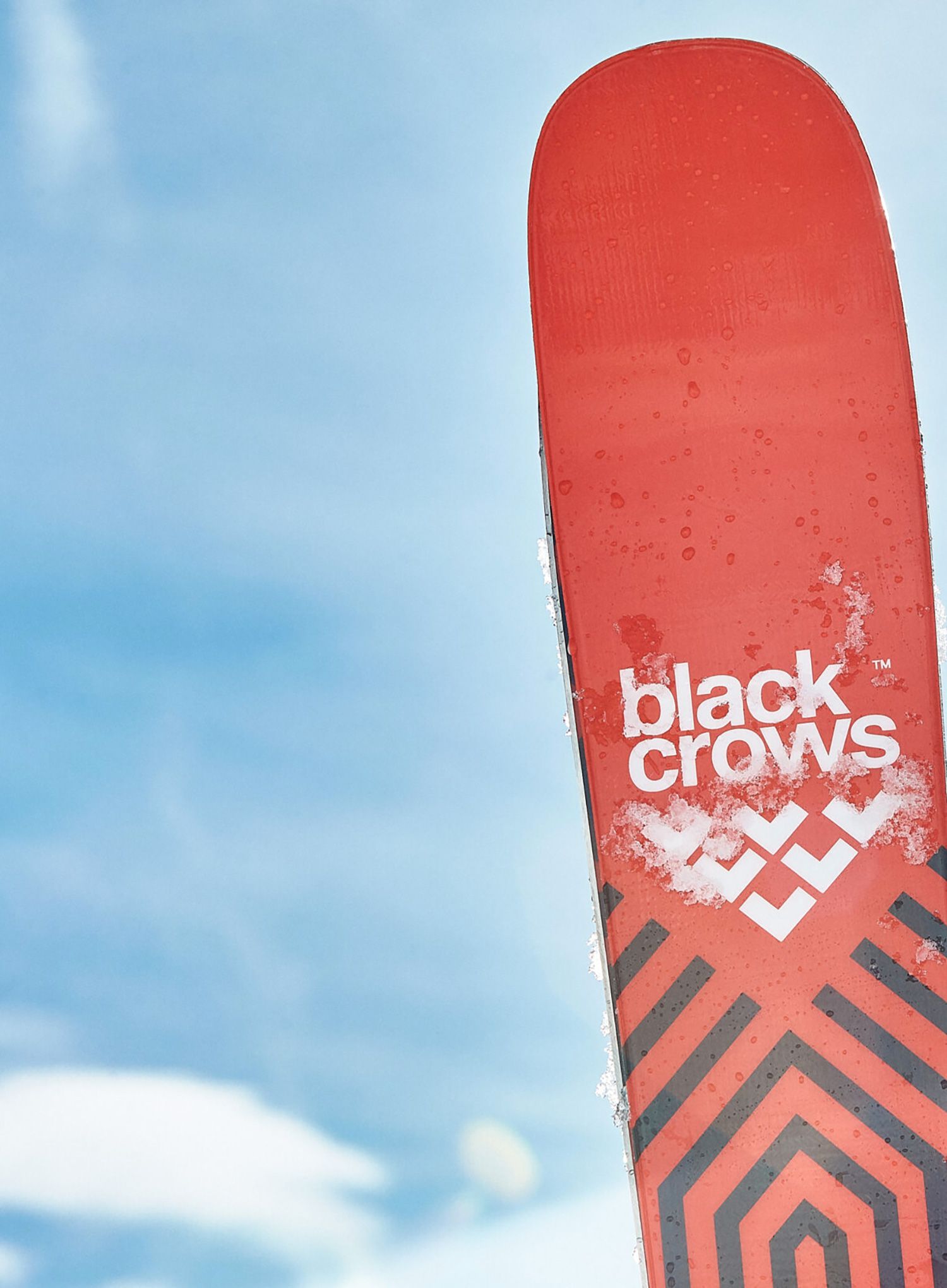 Turne smuči Black Crows Camox