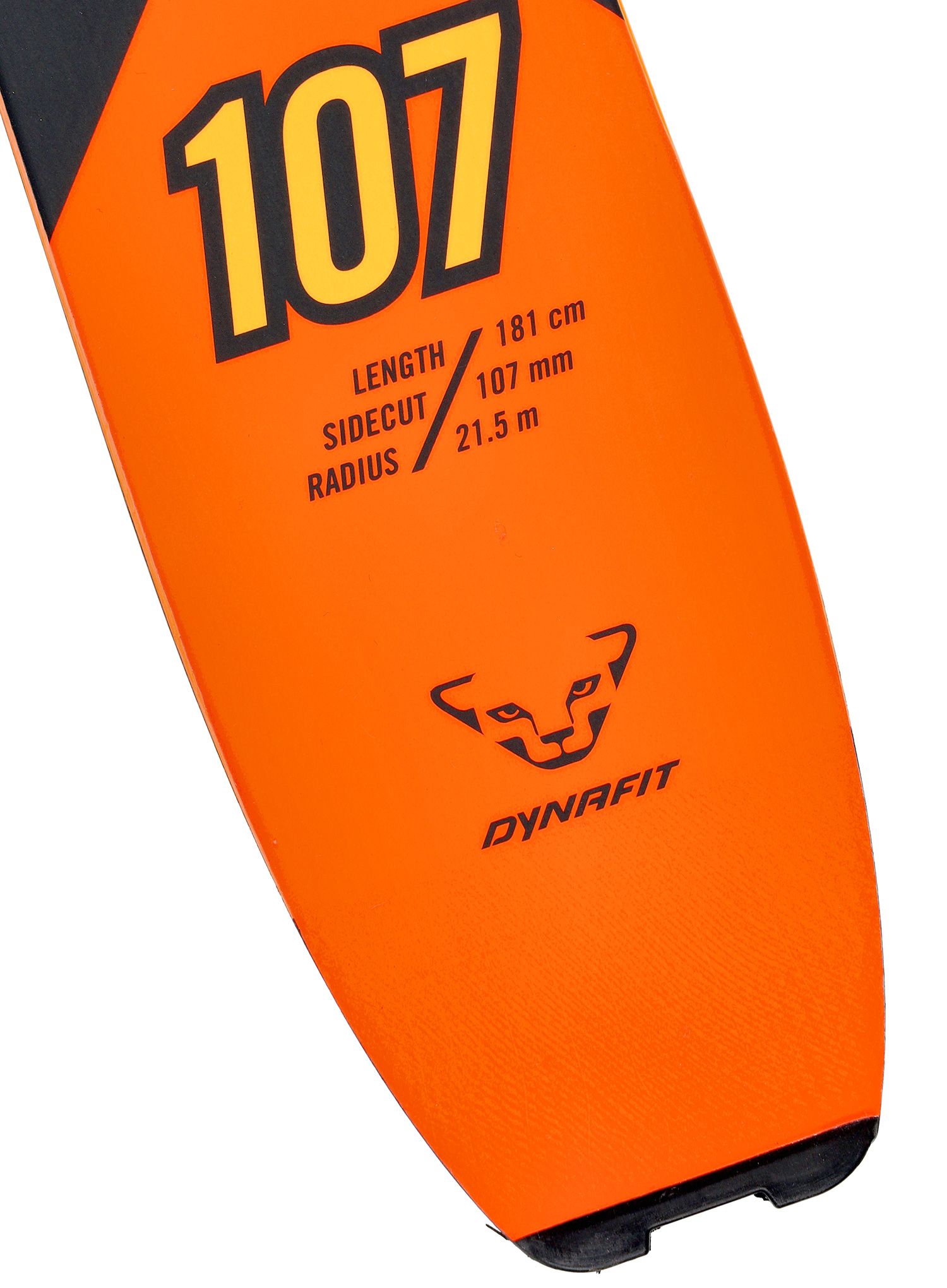 Turne smuči Dynafit Free 107 - dawn/black