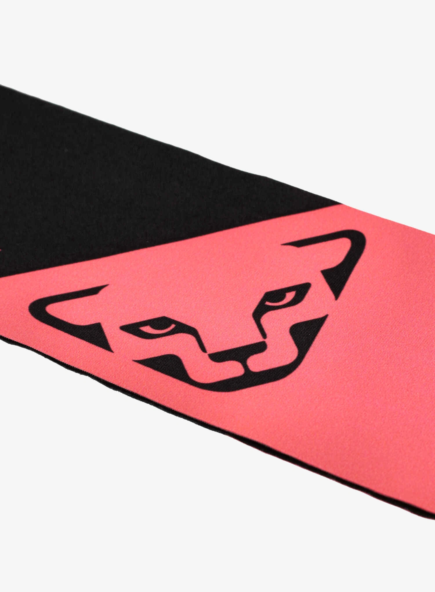 Tekaški naglavni trak Dynafit Performance Headband - ultra coral