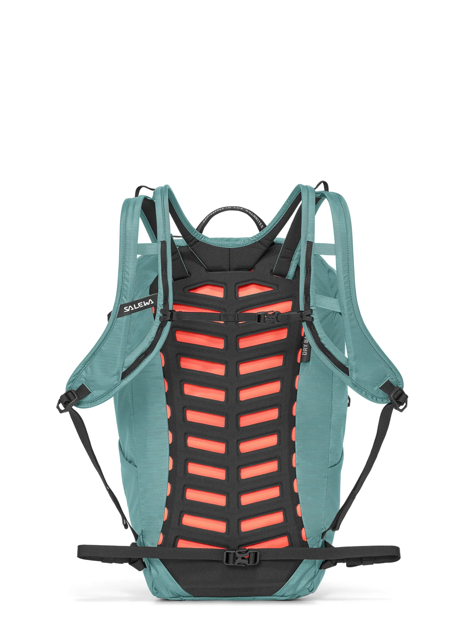 MTB nahrbtnik Salewa Pedroc Mate 22 - willow