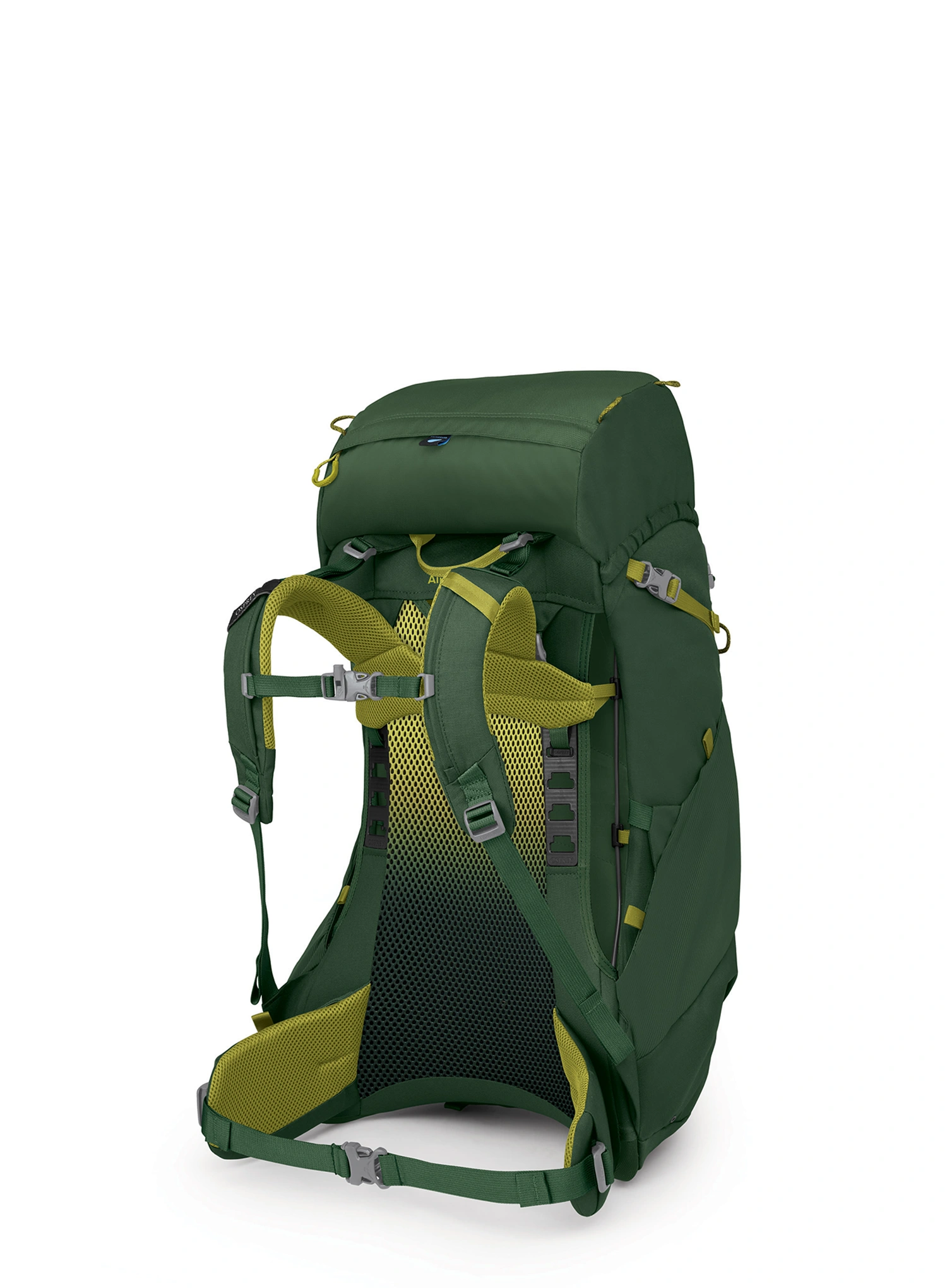 Otroški pohodniški nahrbtnik Osprey Ace 38 - green canopy