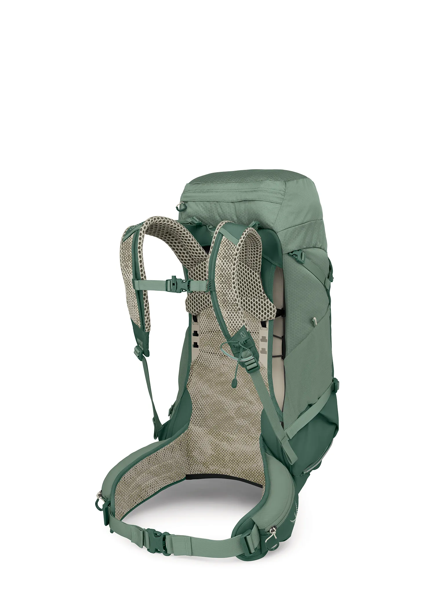 Pohodniški nahrbtnik Osprey Stratos 36 - pine leaf green