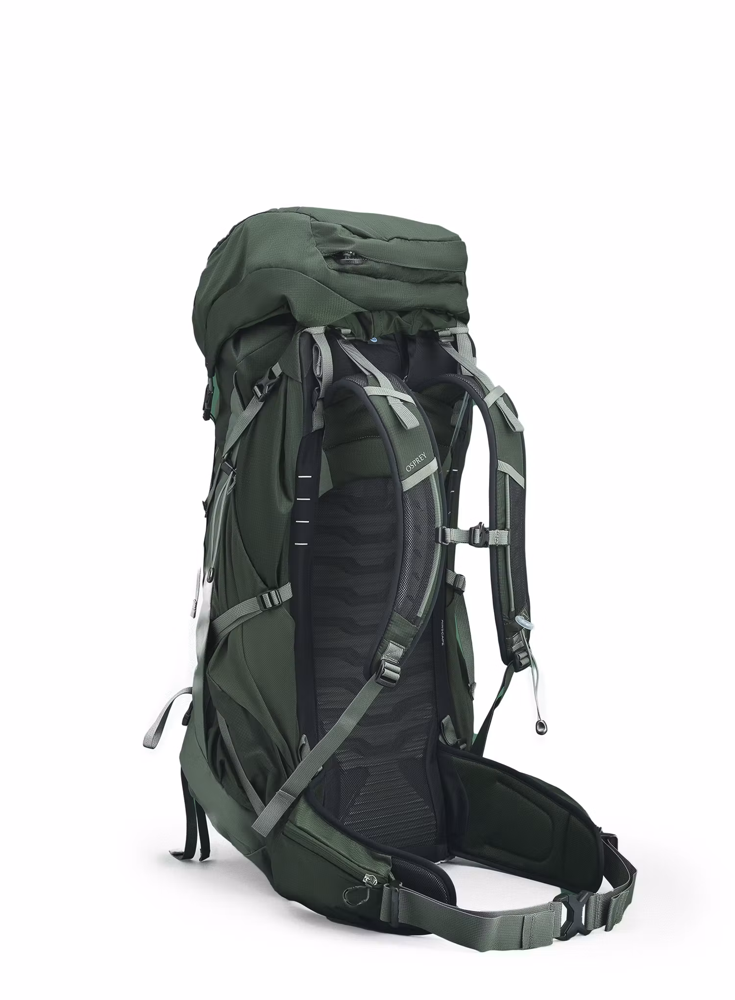 Pohodniški nahrbtnik Osprey Talon 44 - green canopy pine leaf