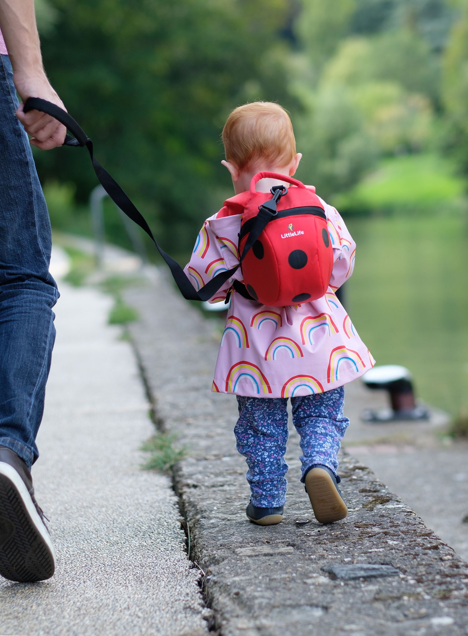 Otroški pohodniški nahrbtnik Littlelife Toddler Backpack - ladybird