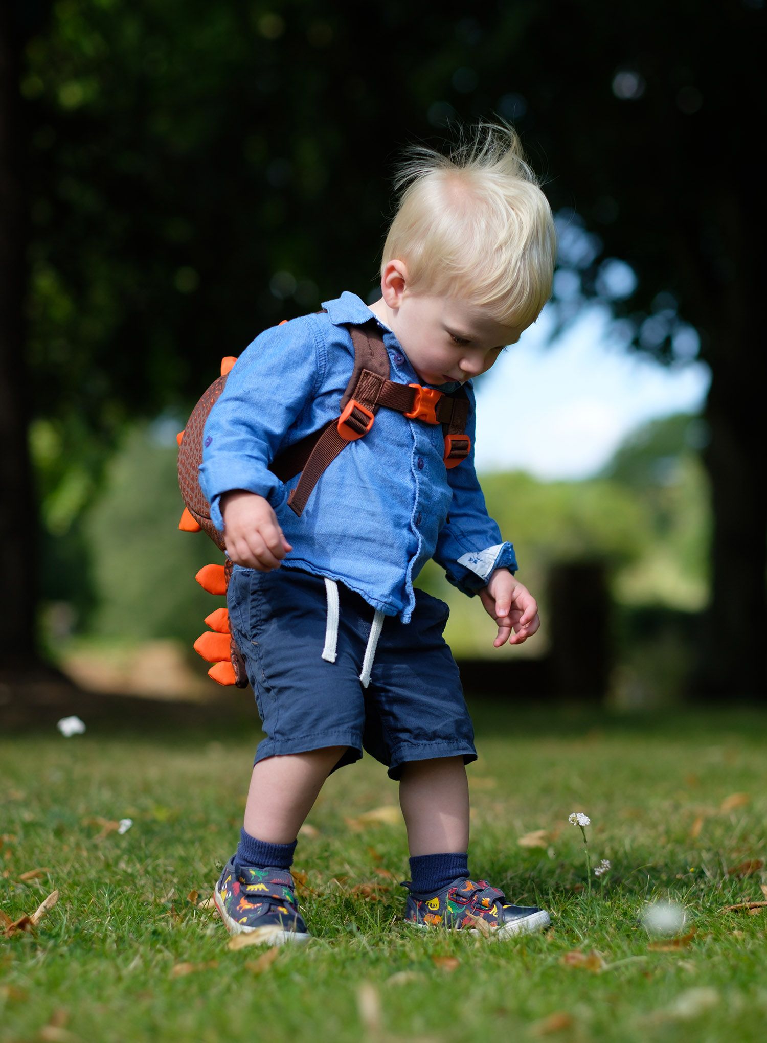 Otroški pohodniški nahrbtnik LittleLife Toddler Backpack - dinozaur